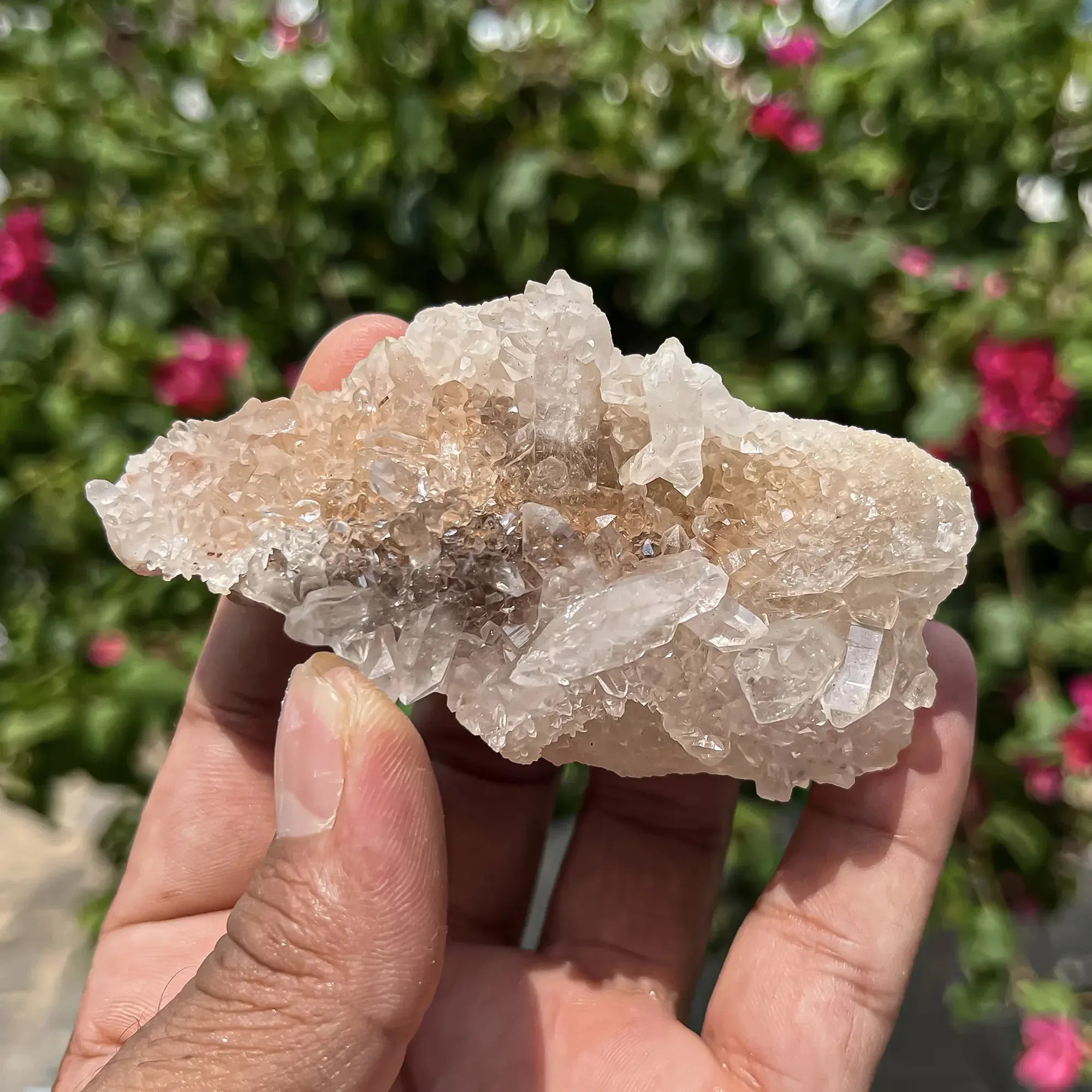 Natural Himalayan Pink Quartz Cluster 120g Himalayan Quartz