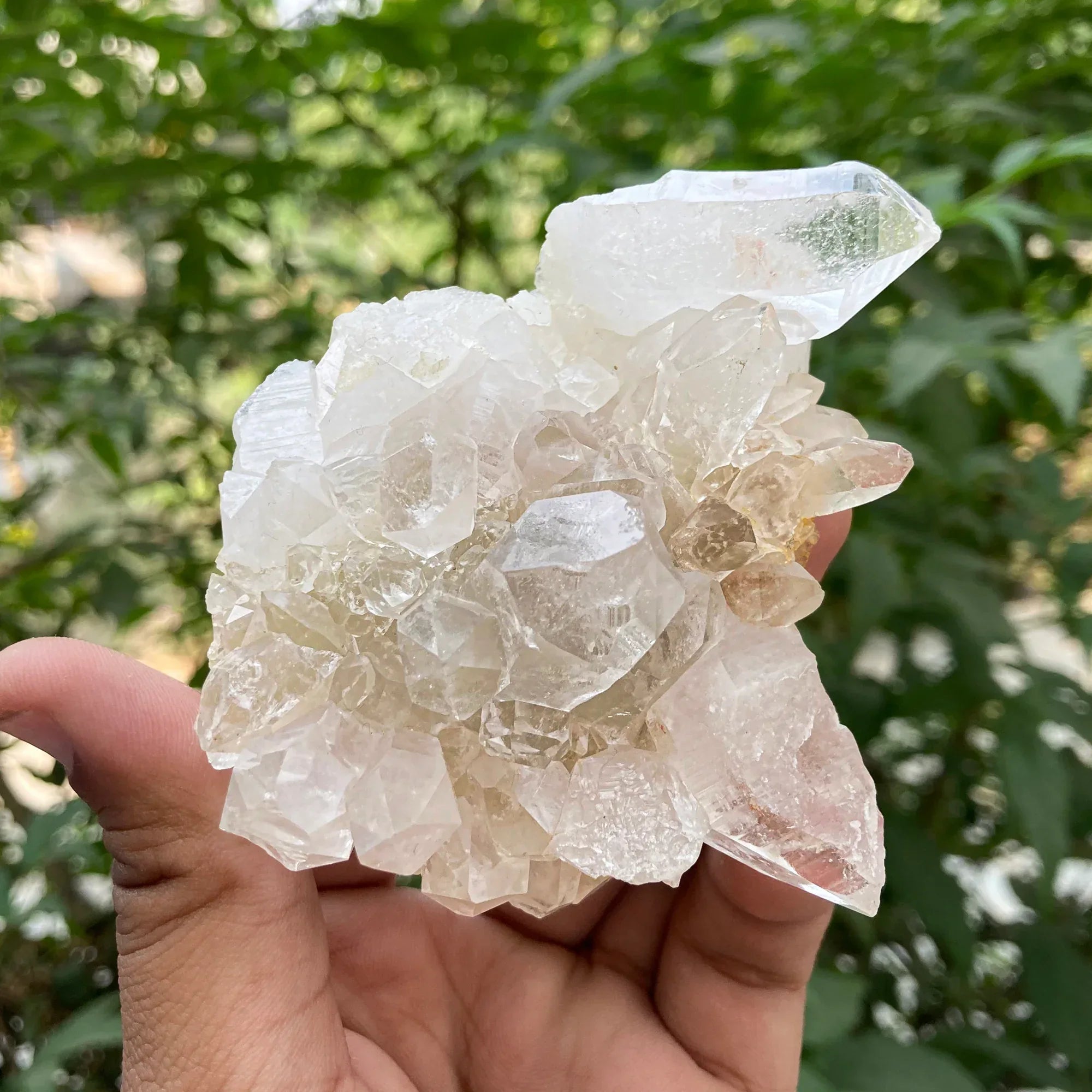 White Himalayan Quartz crystal cluster from Himalya Quartz, raw mineral display for healing and collector purposes.