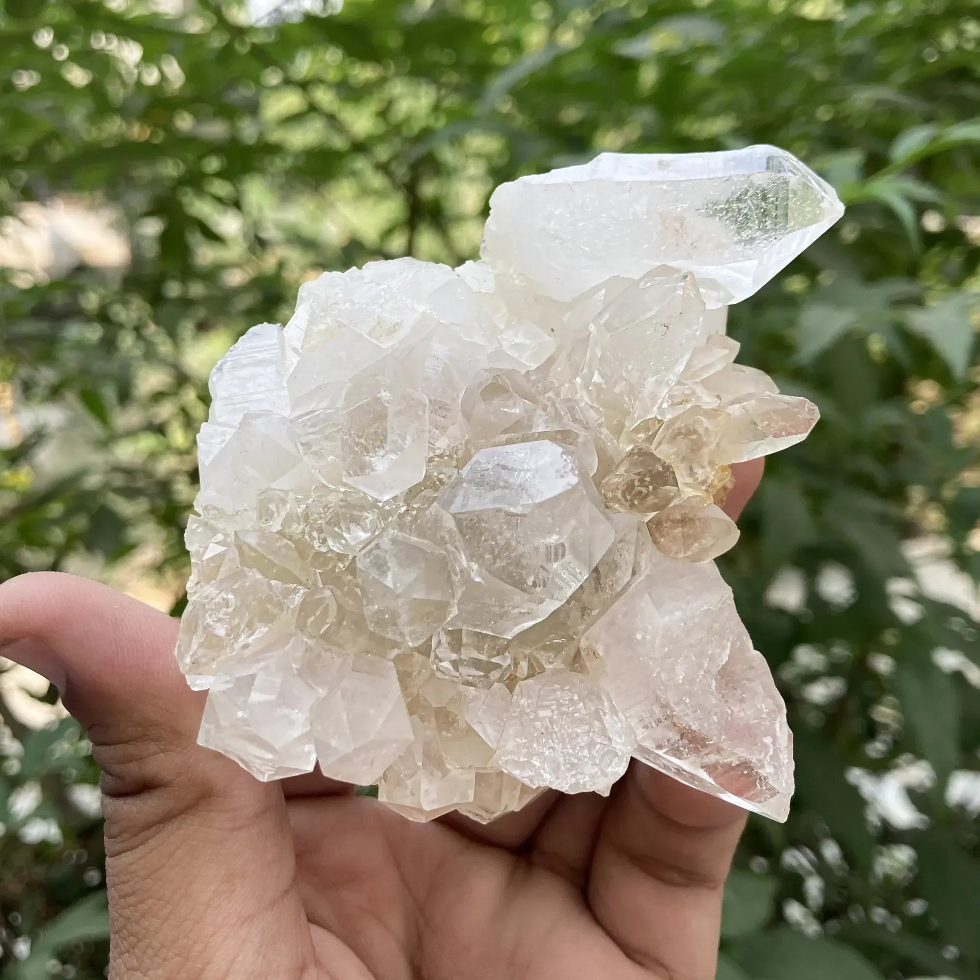 White Himalya Quartz Samadhi Quartz Himalayan raw crystal cluster for healing and mineral display from Himalya Quartz.