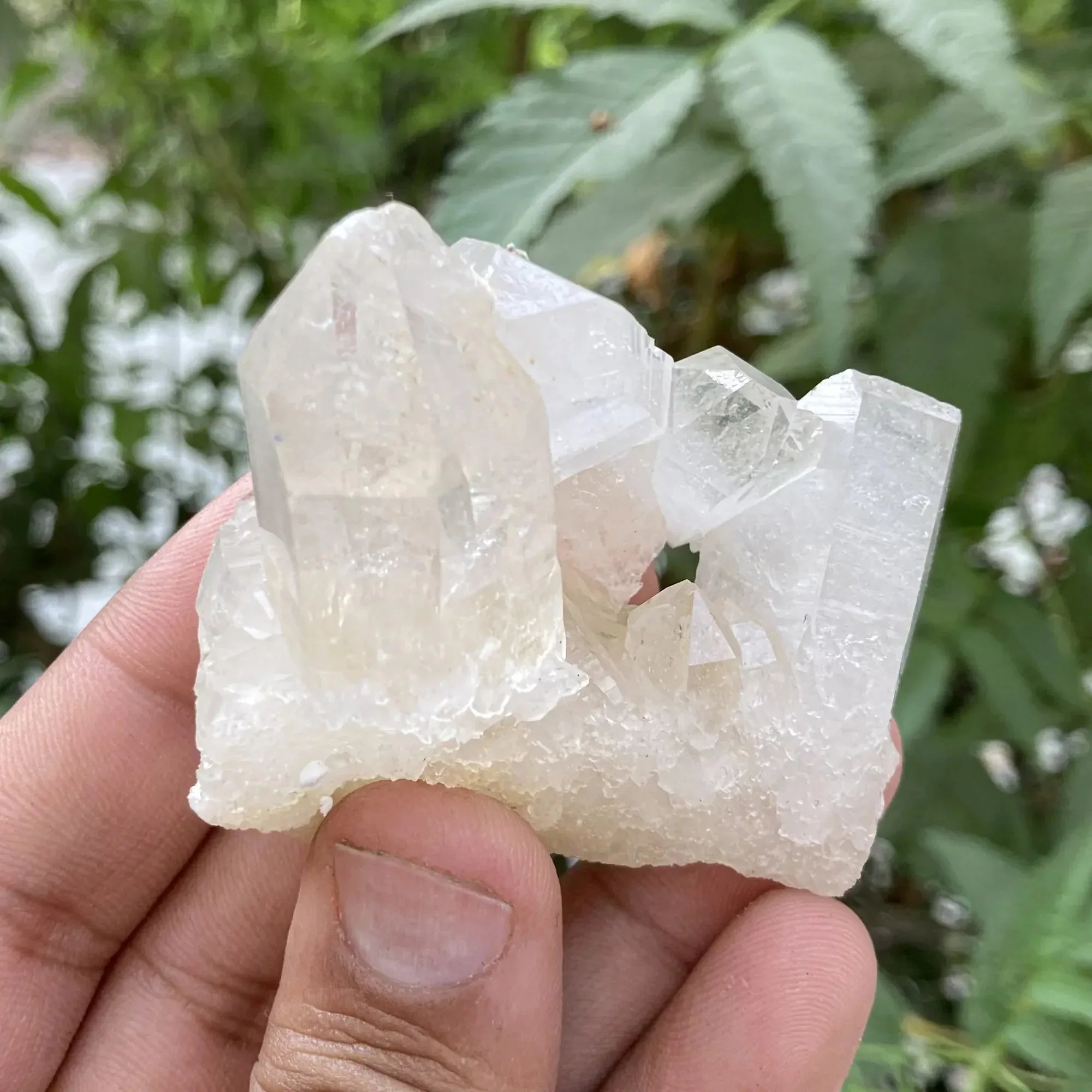Natural Himalayan Pink Quartz Cluster 75g Himalayan Quartz