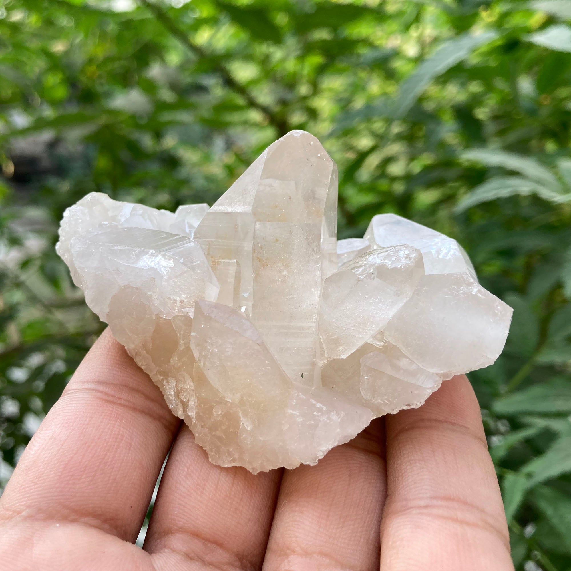 White Collector Grade Quartz Crystal Cluster Himalayan Samadhi Energy Showcase