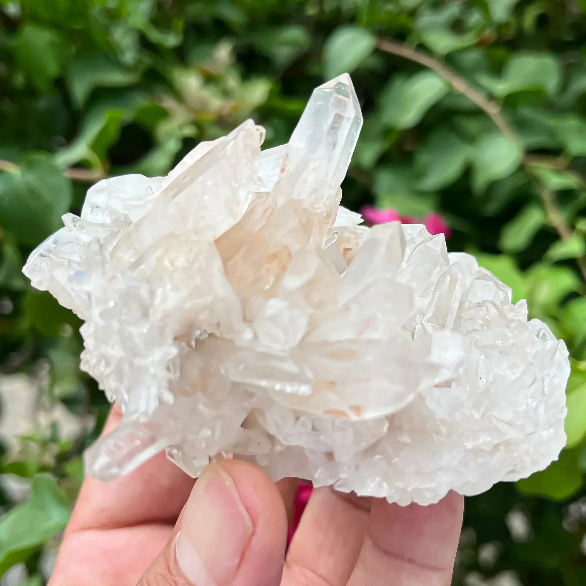 Natural Himalayan White Quartz Cluster 205g Himalayan Quartz