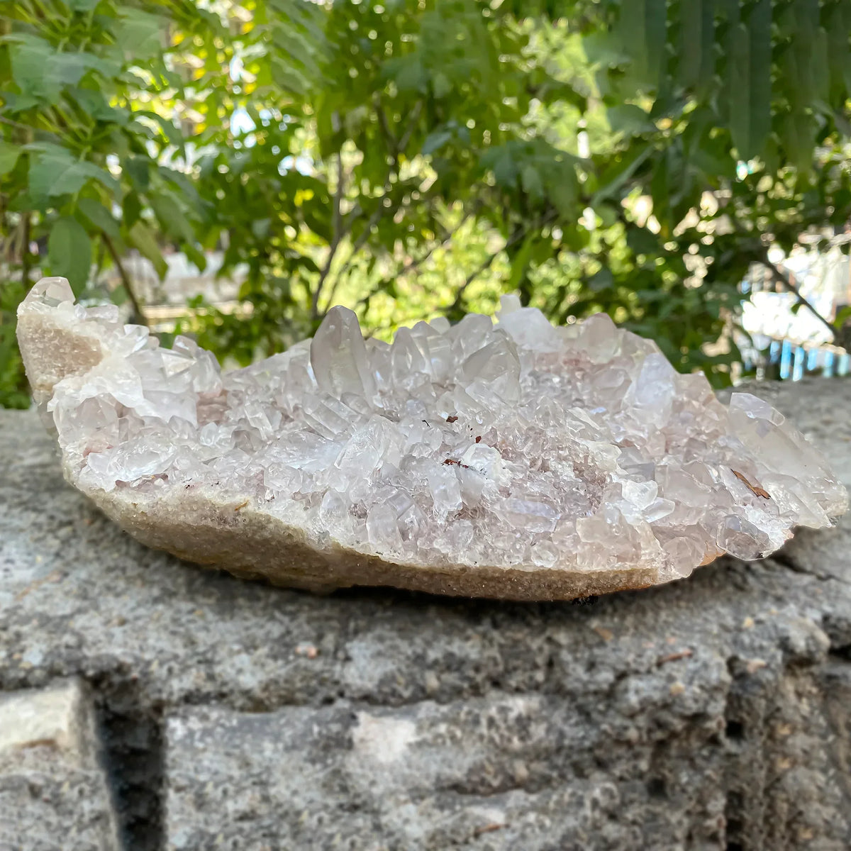 Natural Himalayan Pink Quartz Cluster 2200g Himalayan Quartz