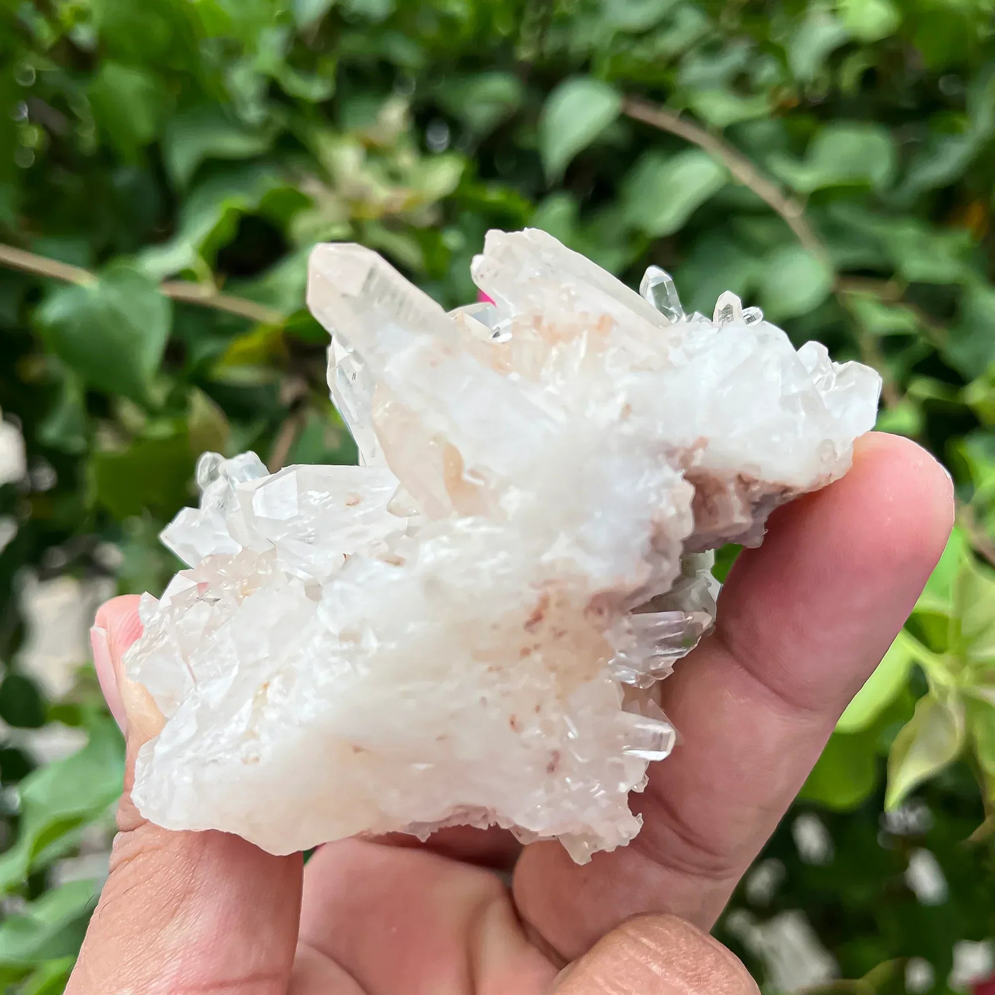 Natural Himalayan White Quartz Cluster 205g Himalayan Quartz