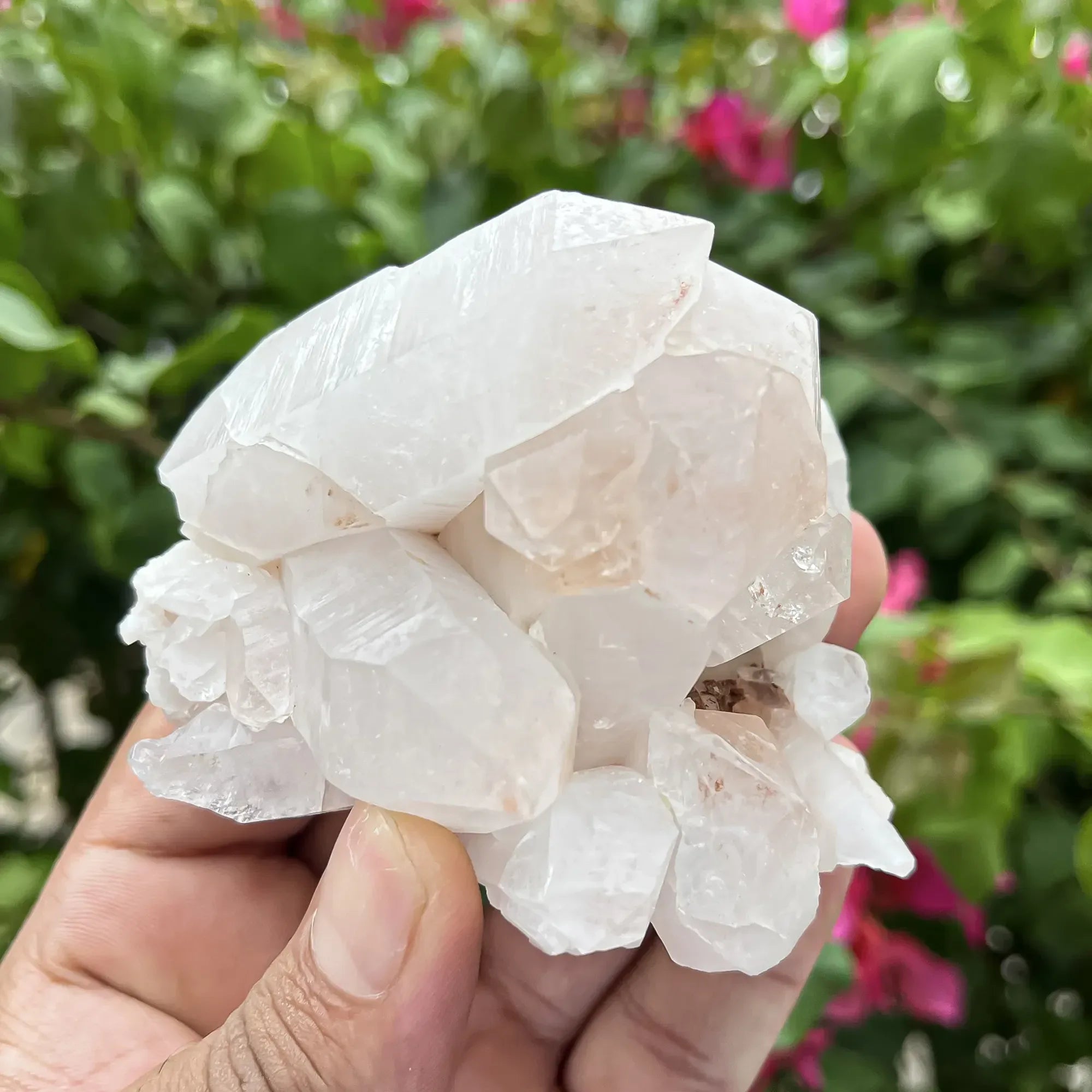 Natural Himalayan White Quartz Cluster 250g Himalayan Quartz