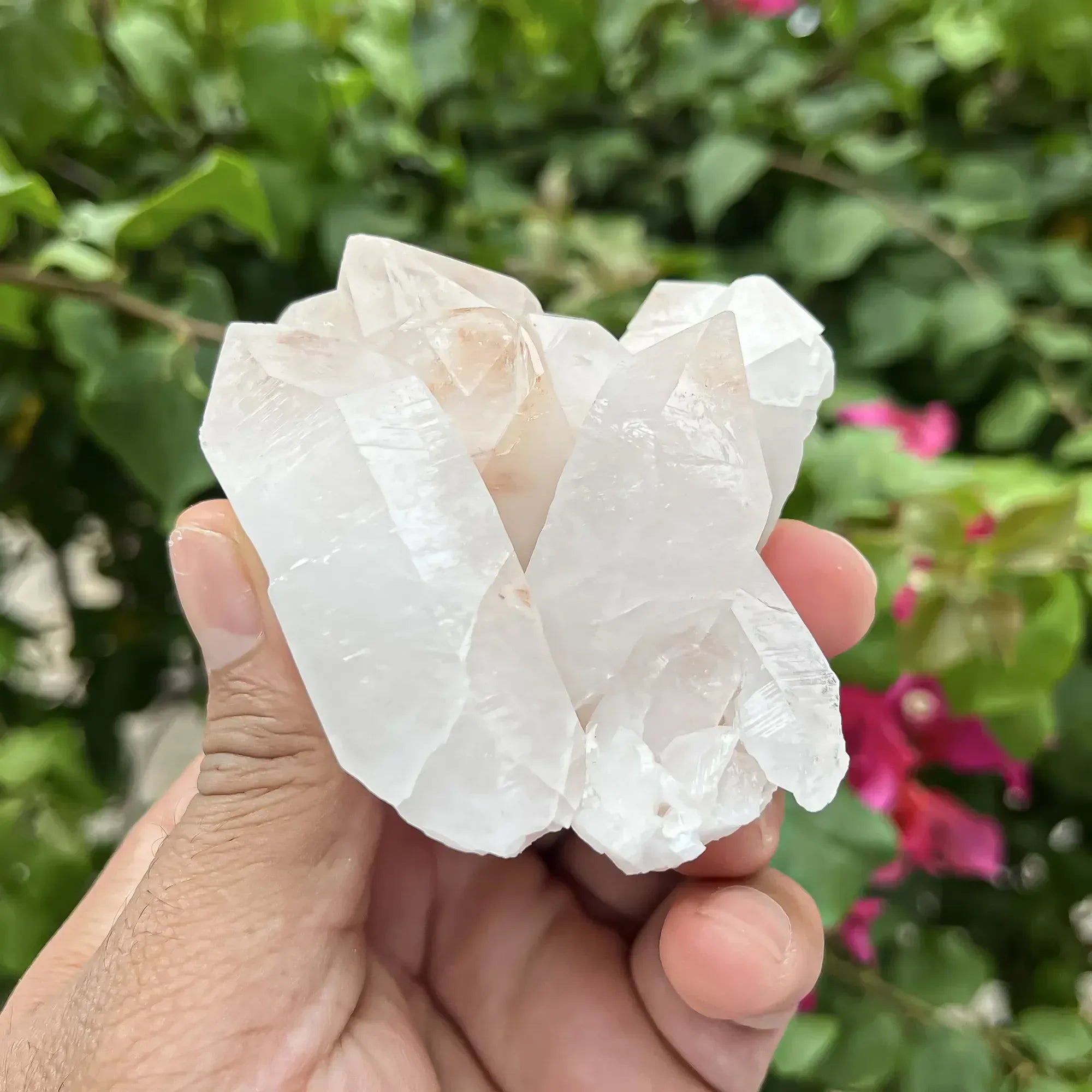 Natural Himalayan White Quartz Cluster 250g Himalayan Quartz