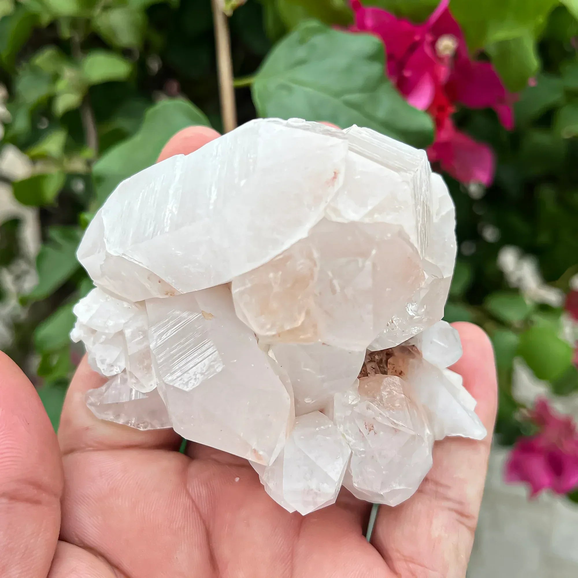 Natural Himalayan White Quartz Cluster 250g Himalayan Quartz
