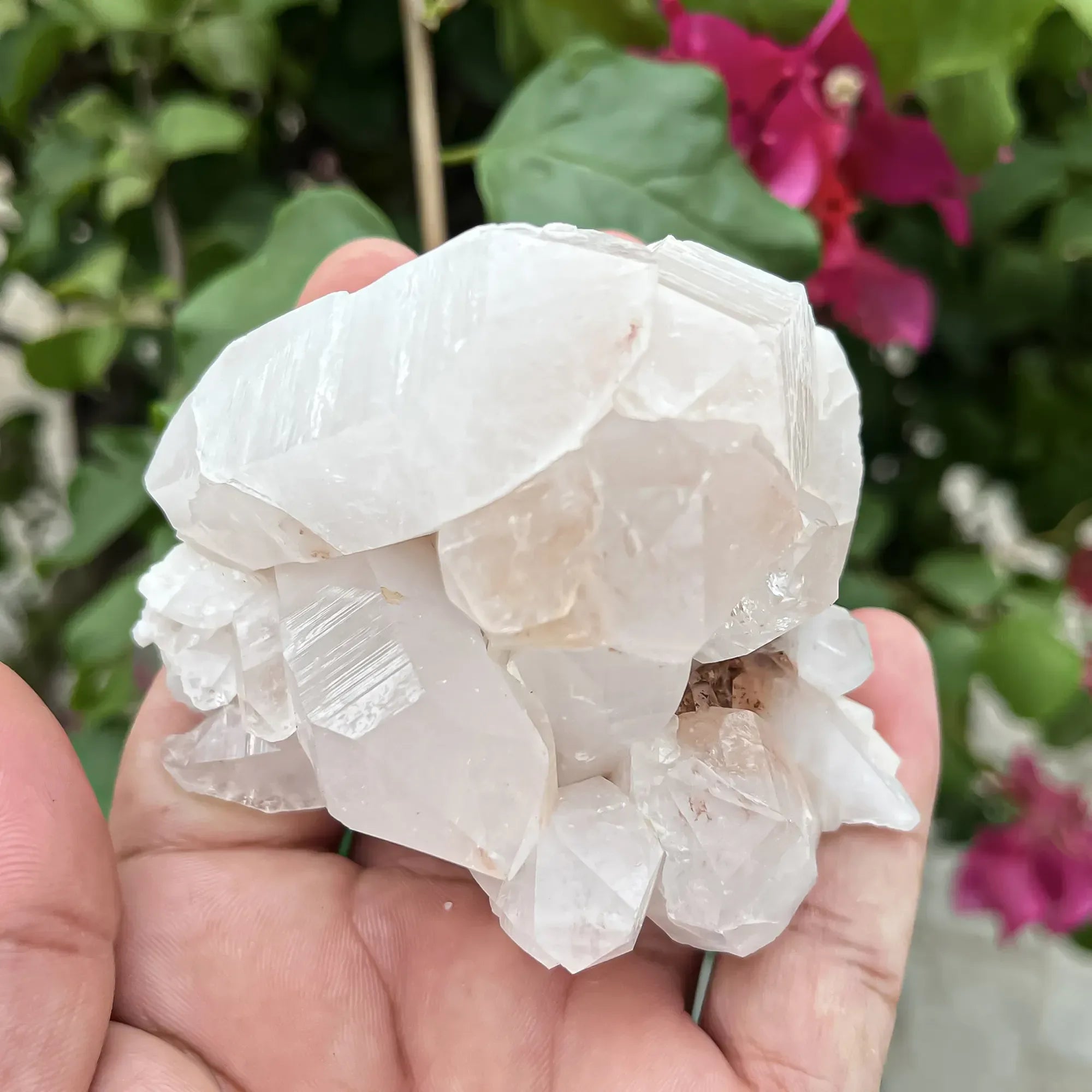 Natural Himalayan White Quartz Cluster 250g Himalayan Quartz