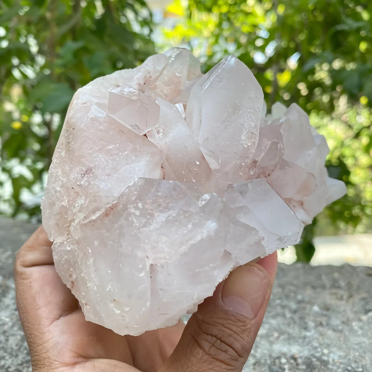 Natural Himalayan Pink Quartz Cluster 1090g Himalayan Quartz