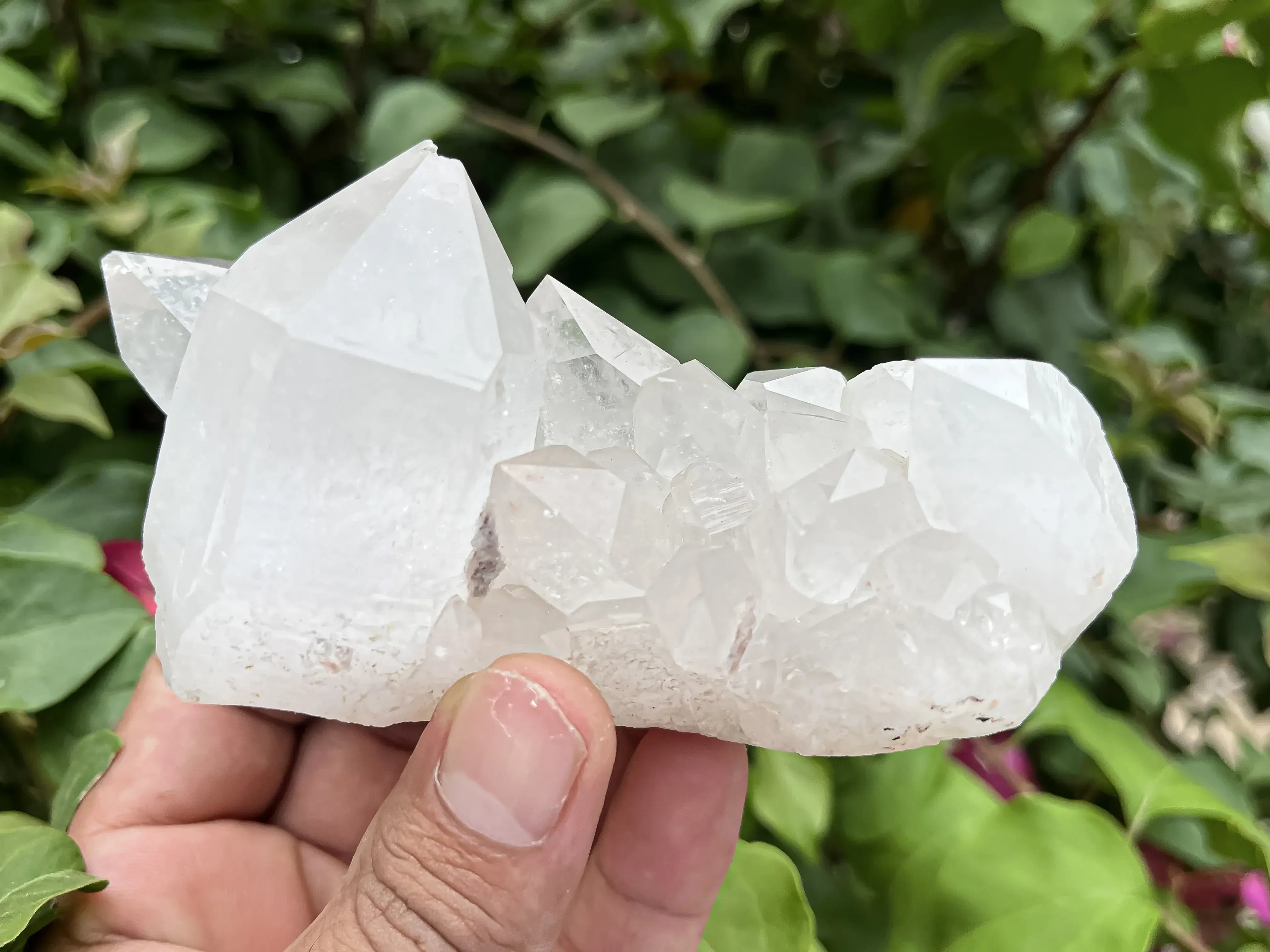 Natural Himalayan White Quartz Cluster 340g Himalayan Quartz