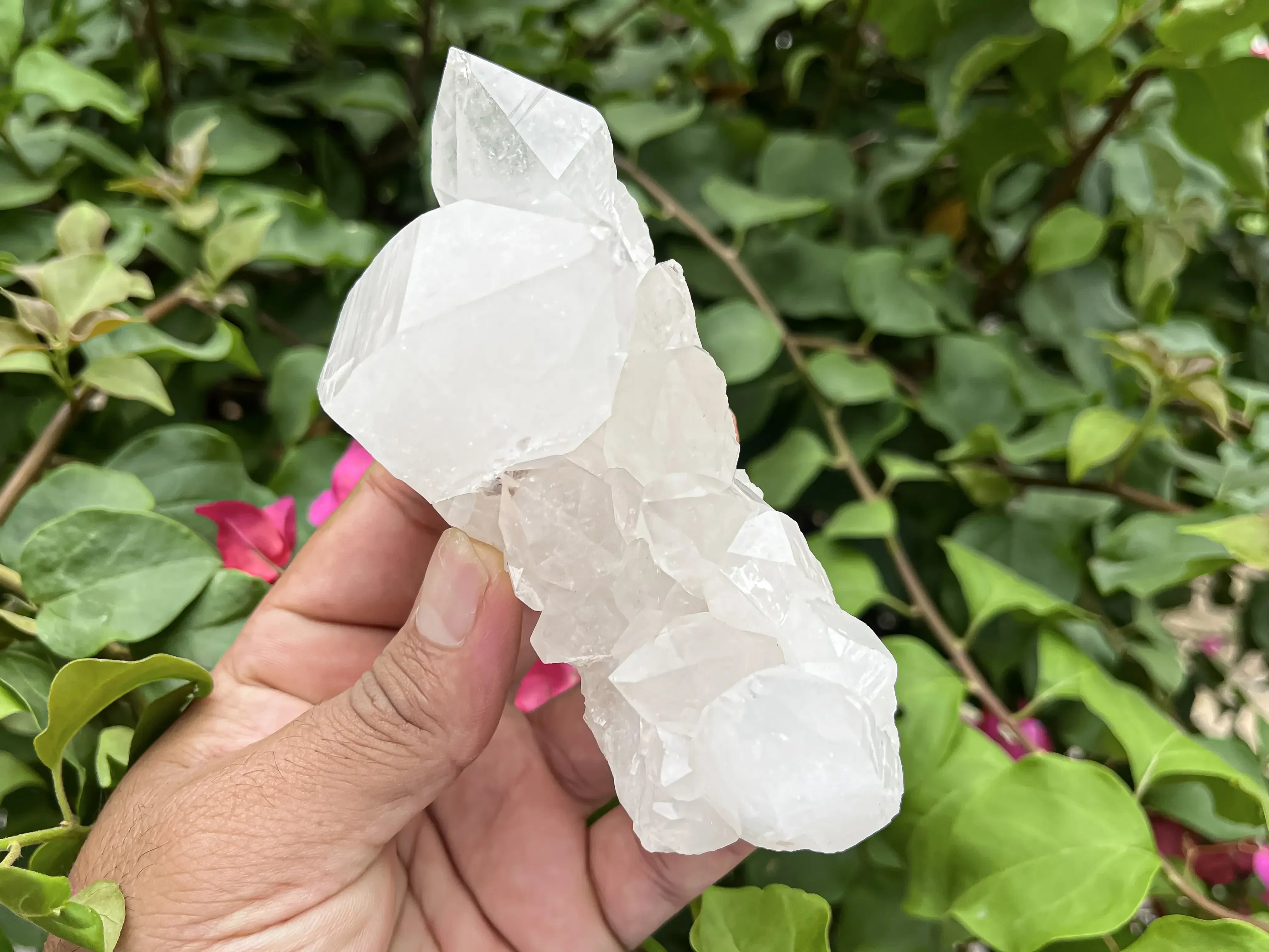 Natural Himalayan White Quartz Cluster 340g Himalayan Quartz