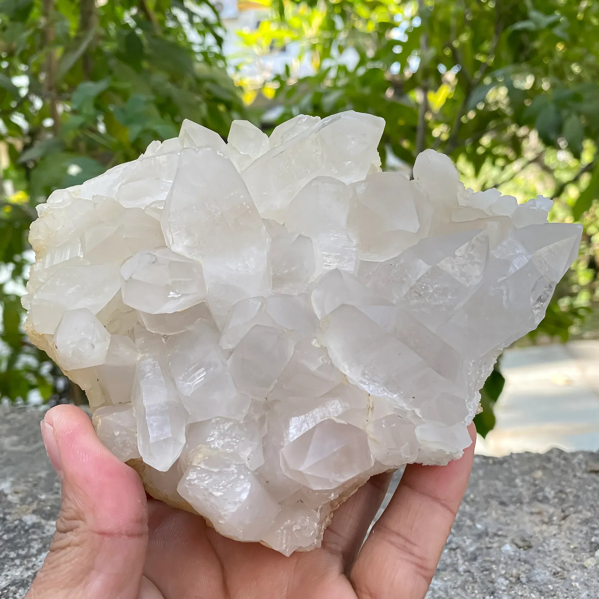 Natural Himalayan White Quartz Cluster 660g – WHQ-1056 - Himalya Quartz
