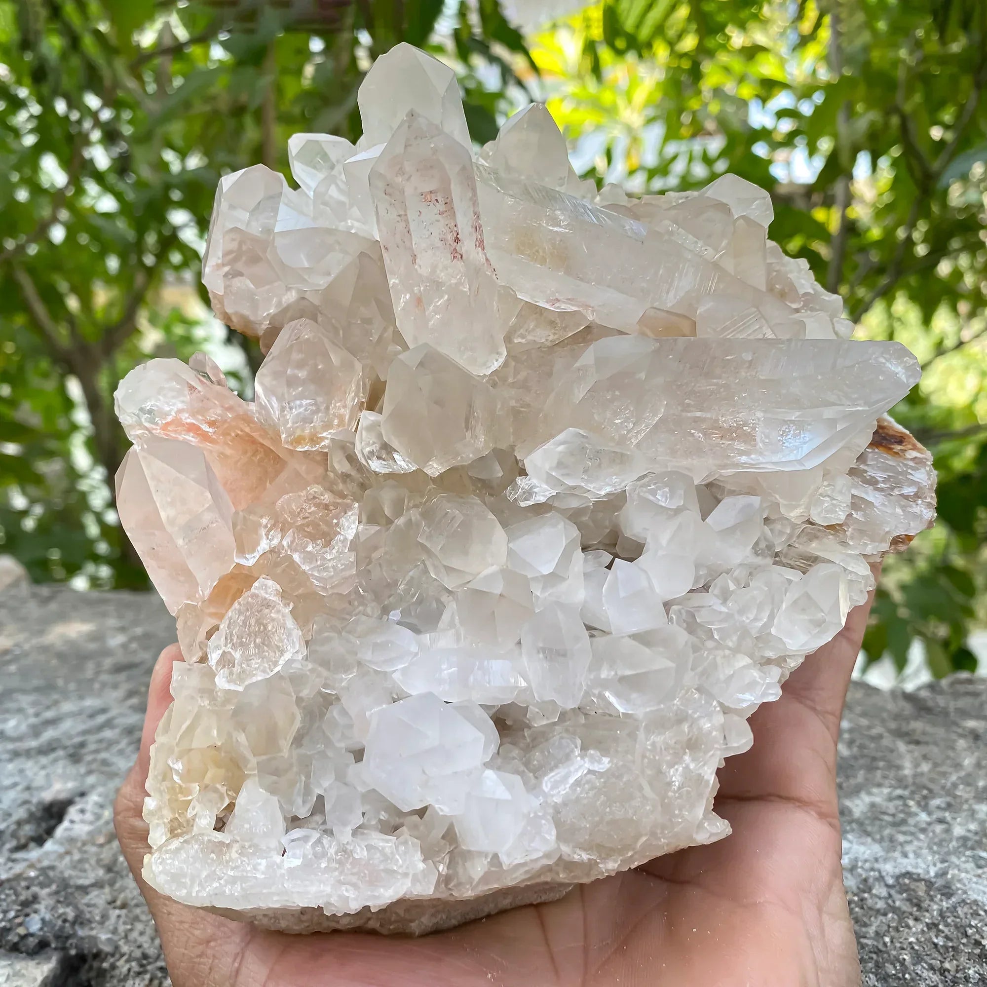 Natural Himalayan Pink Quartz Cluster 1500g Himalayan Quartz