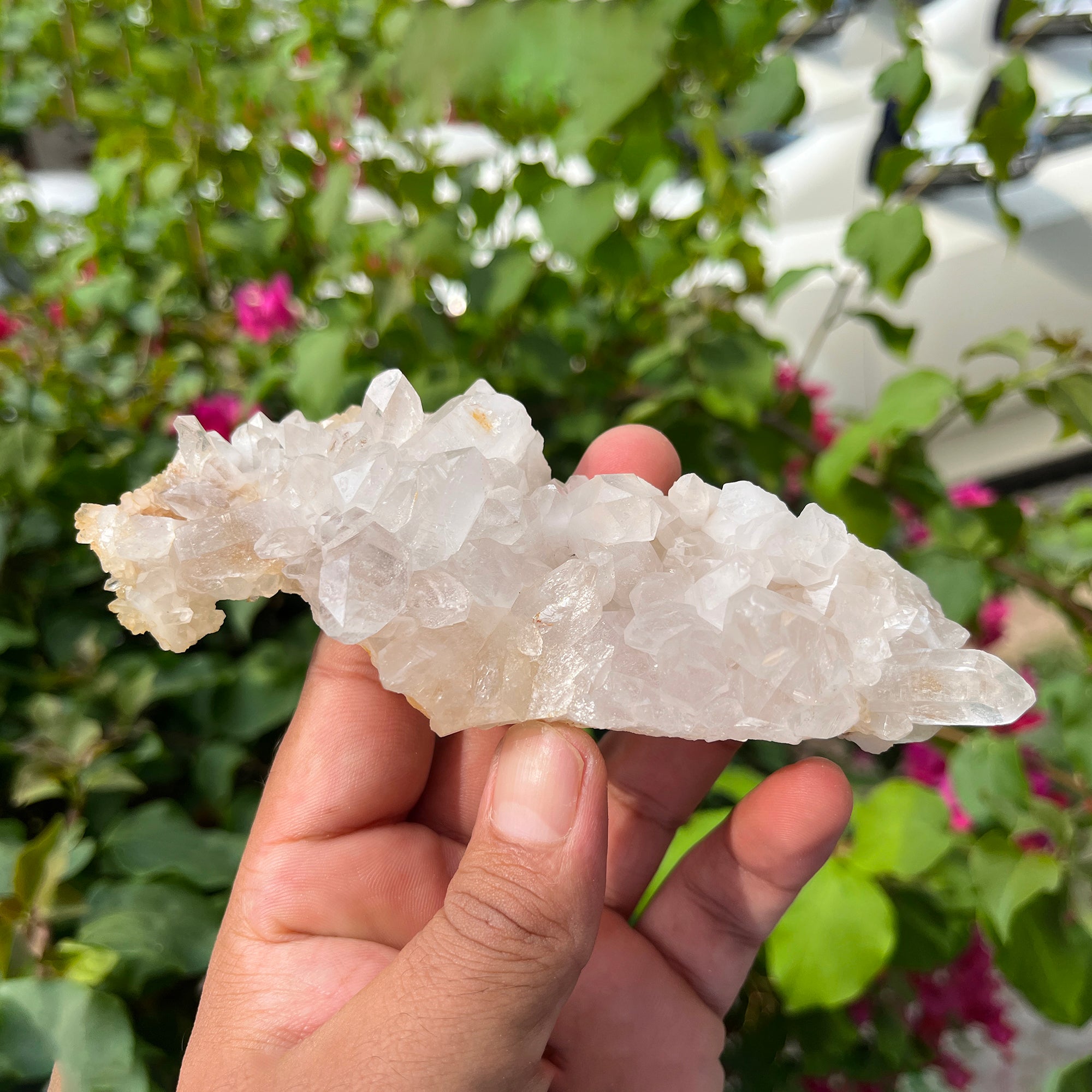 Yellow Samadhi Quartz Crystal Cluster: Natural Healing Stone 190gm