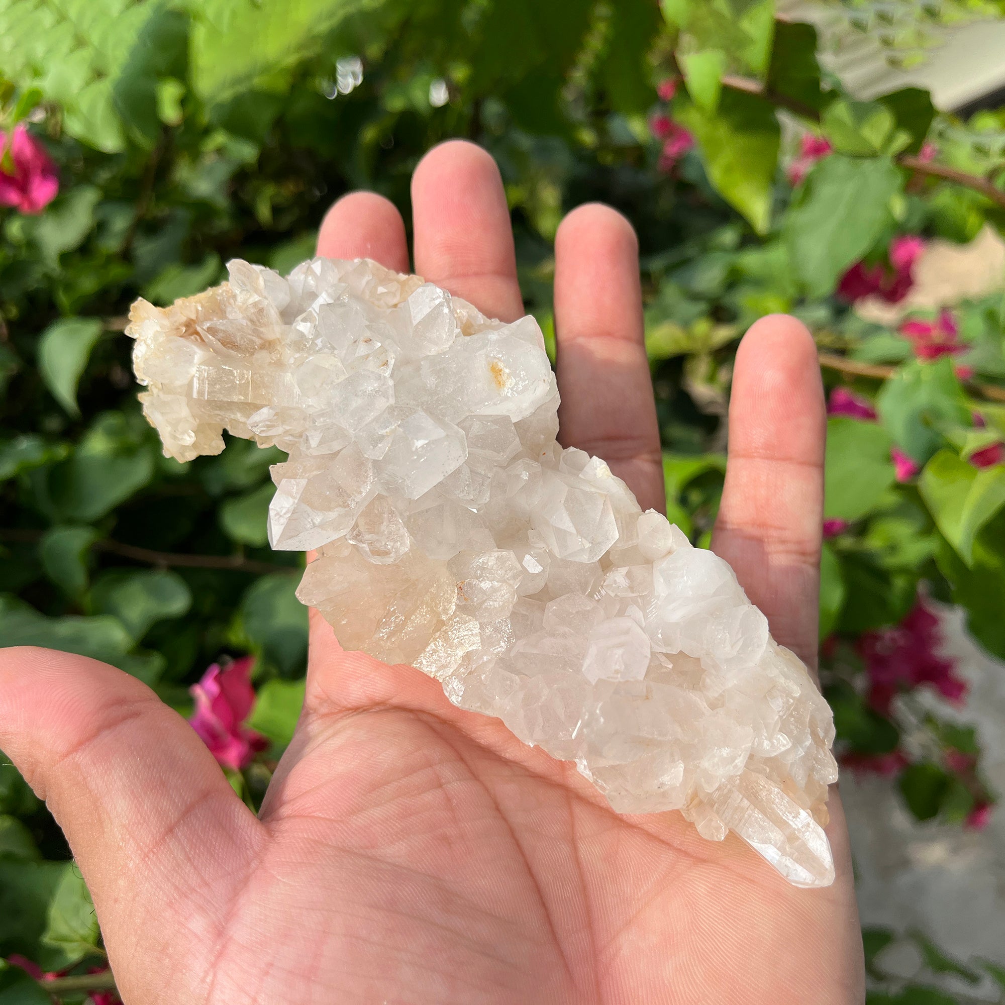 Yellow Samadhi Quartz Crystal Cluster: Natural Healing Stone 190gm
