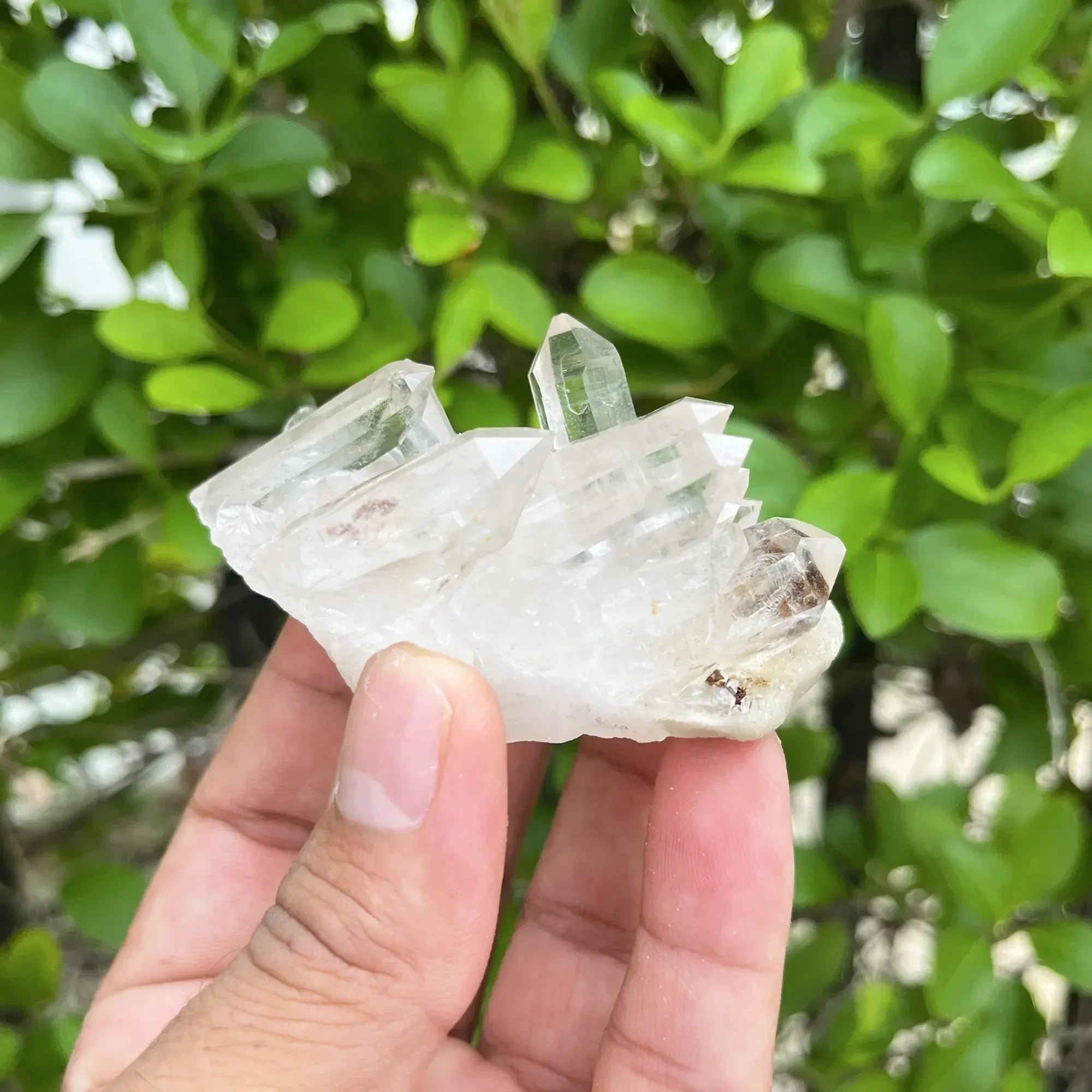 Natural Himalayan White Quartz Cluster 105g Himalayan Quartz
