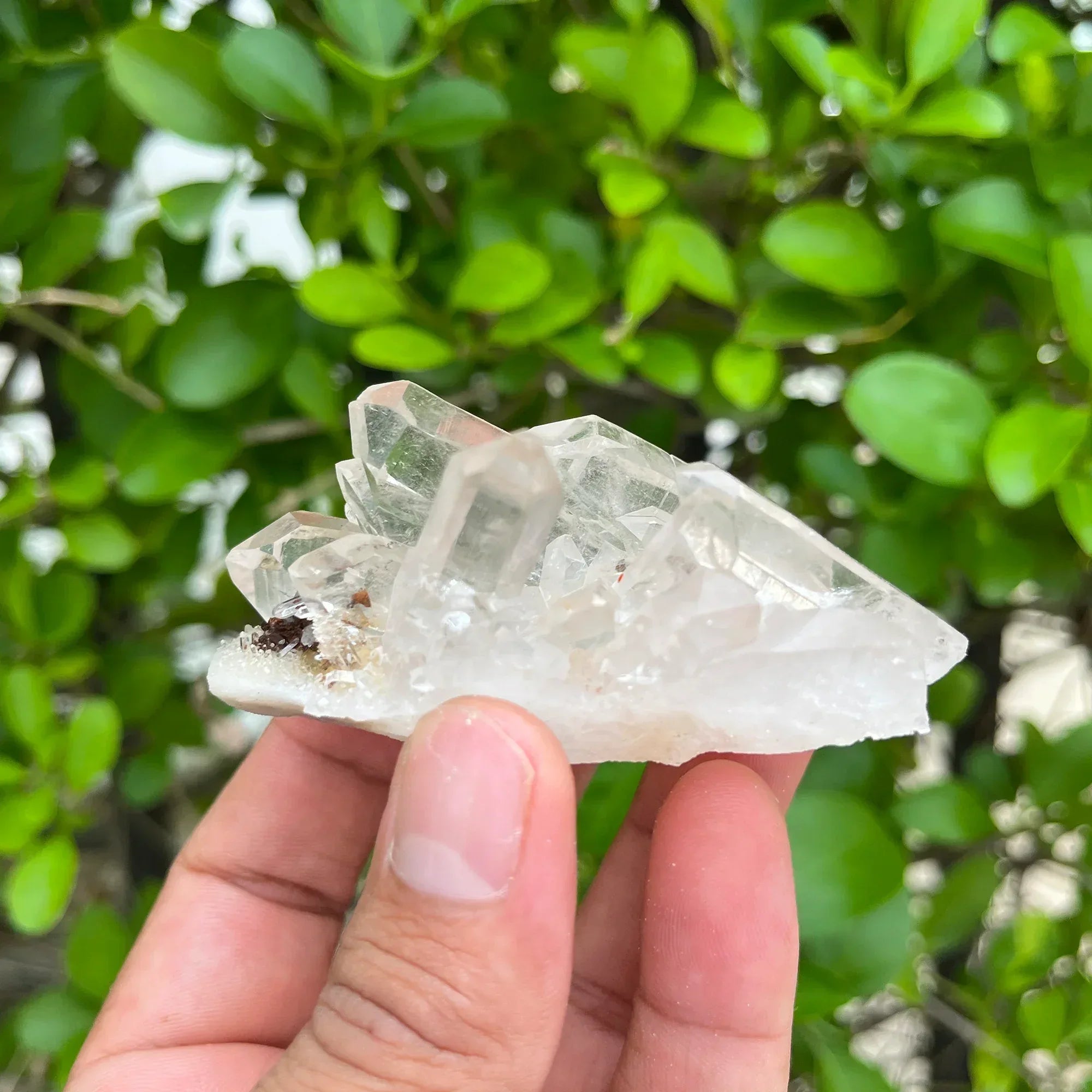Natural Himalayan White Quartz Cluster 105g Himalayan Quartz