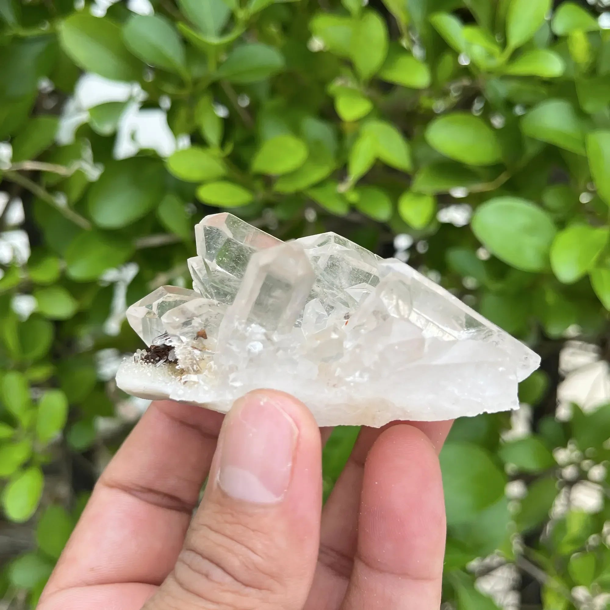 Natural Himalayan White Quartz Cluster 105g Himalayan Quartz