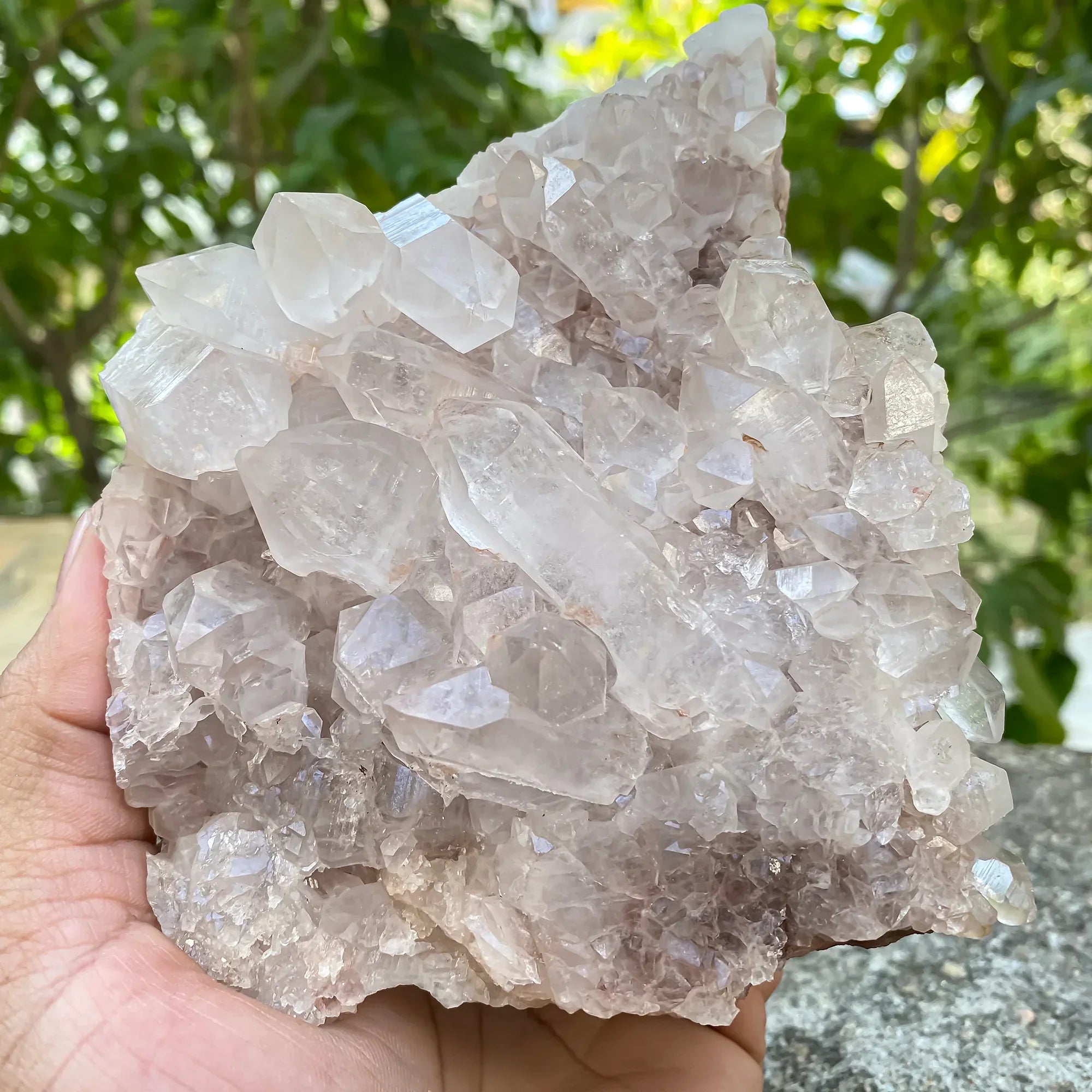 Natural Himalayan Pink Quartz Cluster Himalayan Quartz