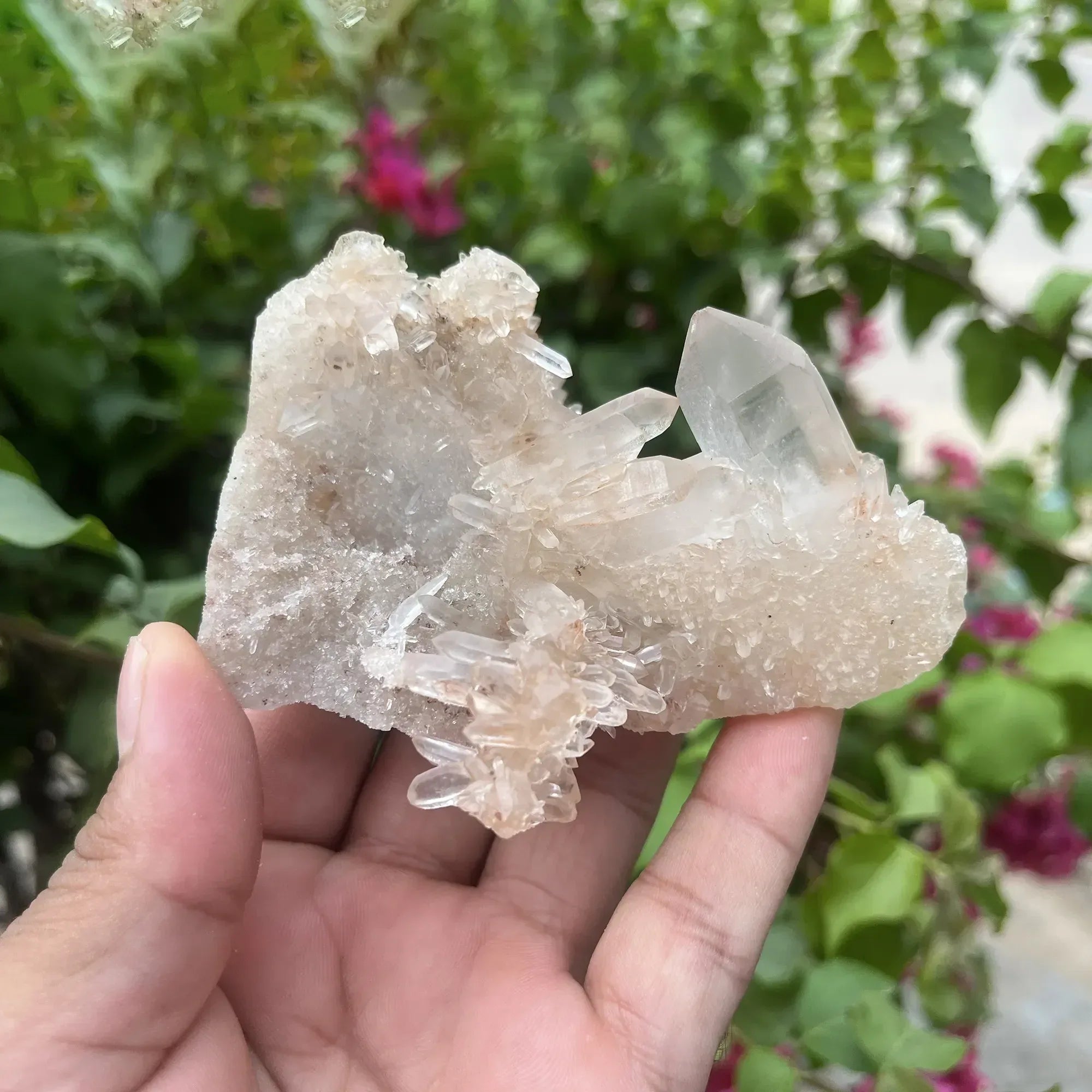 Natural Himalayan Pink Quartz Cluster 215g Himalayan Quartz
