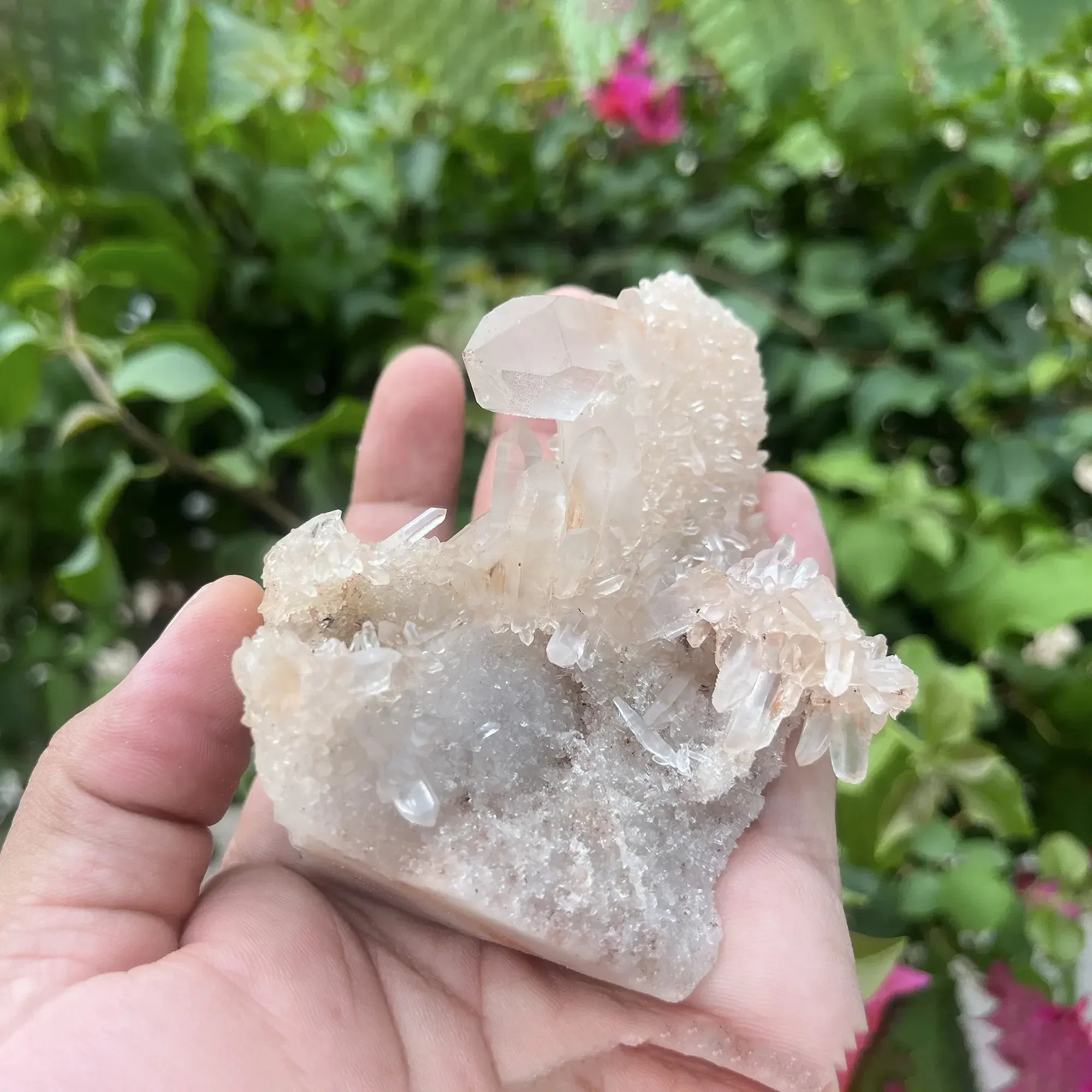 Natural Himalayan Pink Quartz Cluster 215g Himalayan Quartz