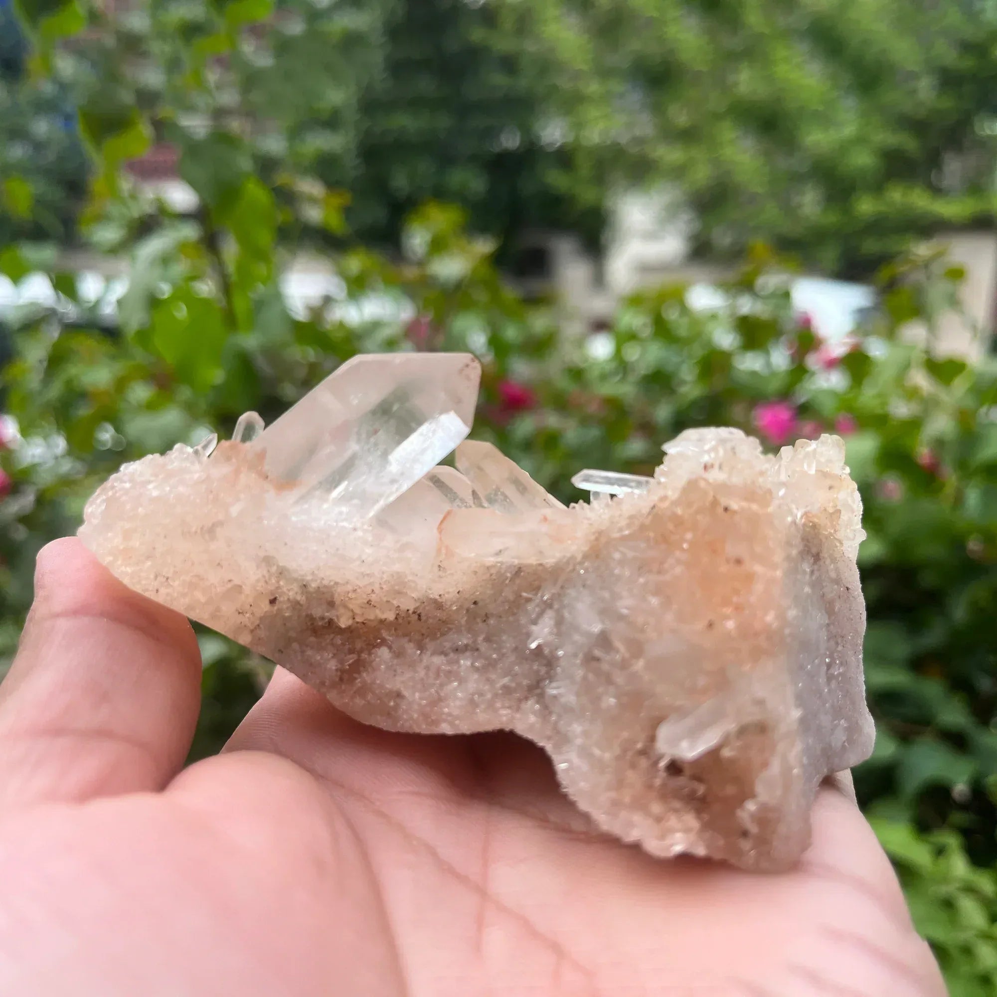 Natural Himalayan Pink Quartz Cluster 215g Himalayan Quartz