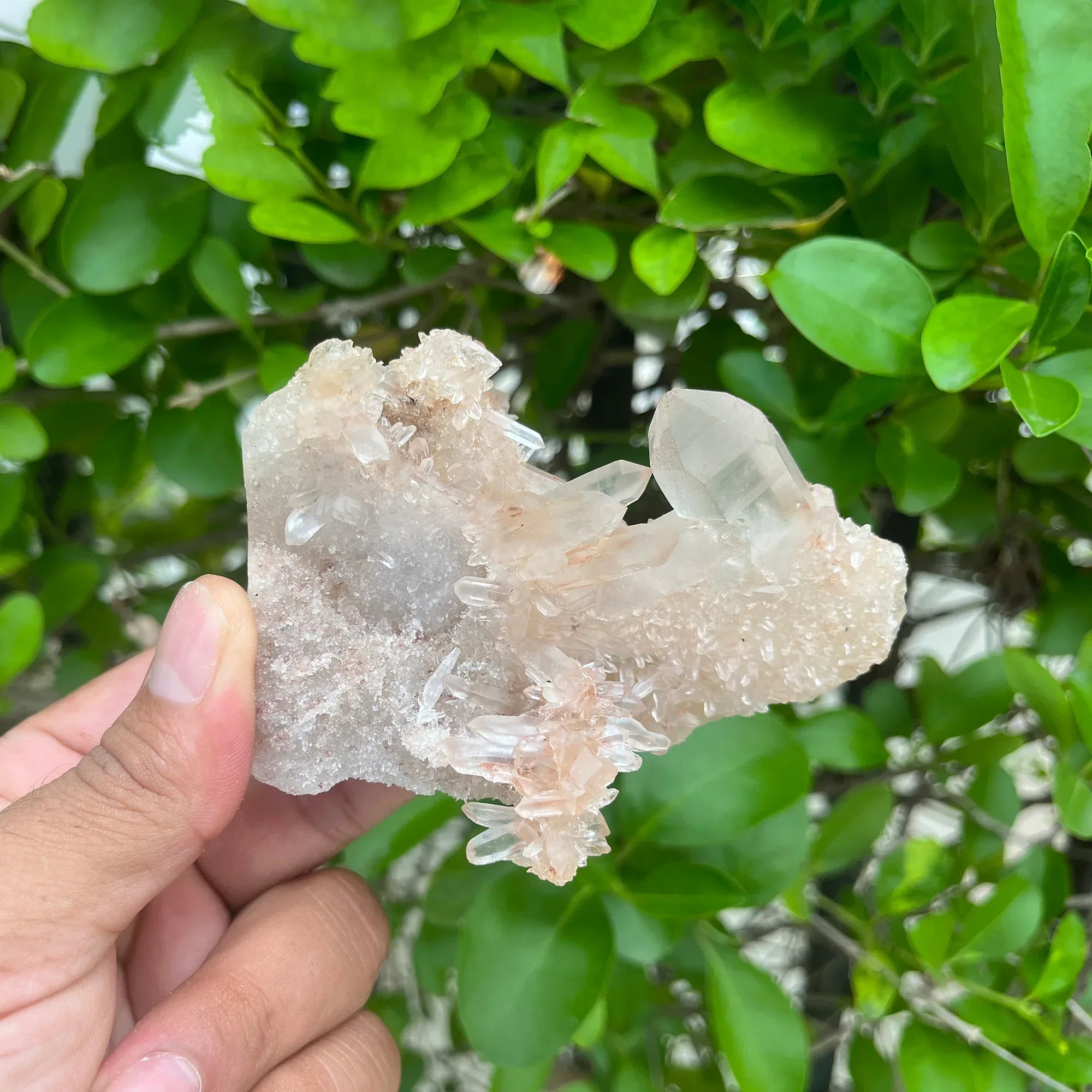 Natural Himalayan Pink Quartz Cluster 215g Himalayan Quartz