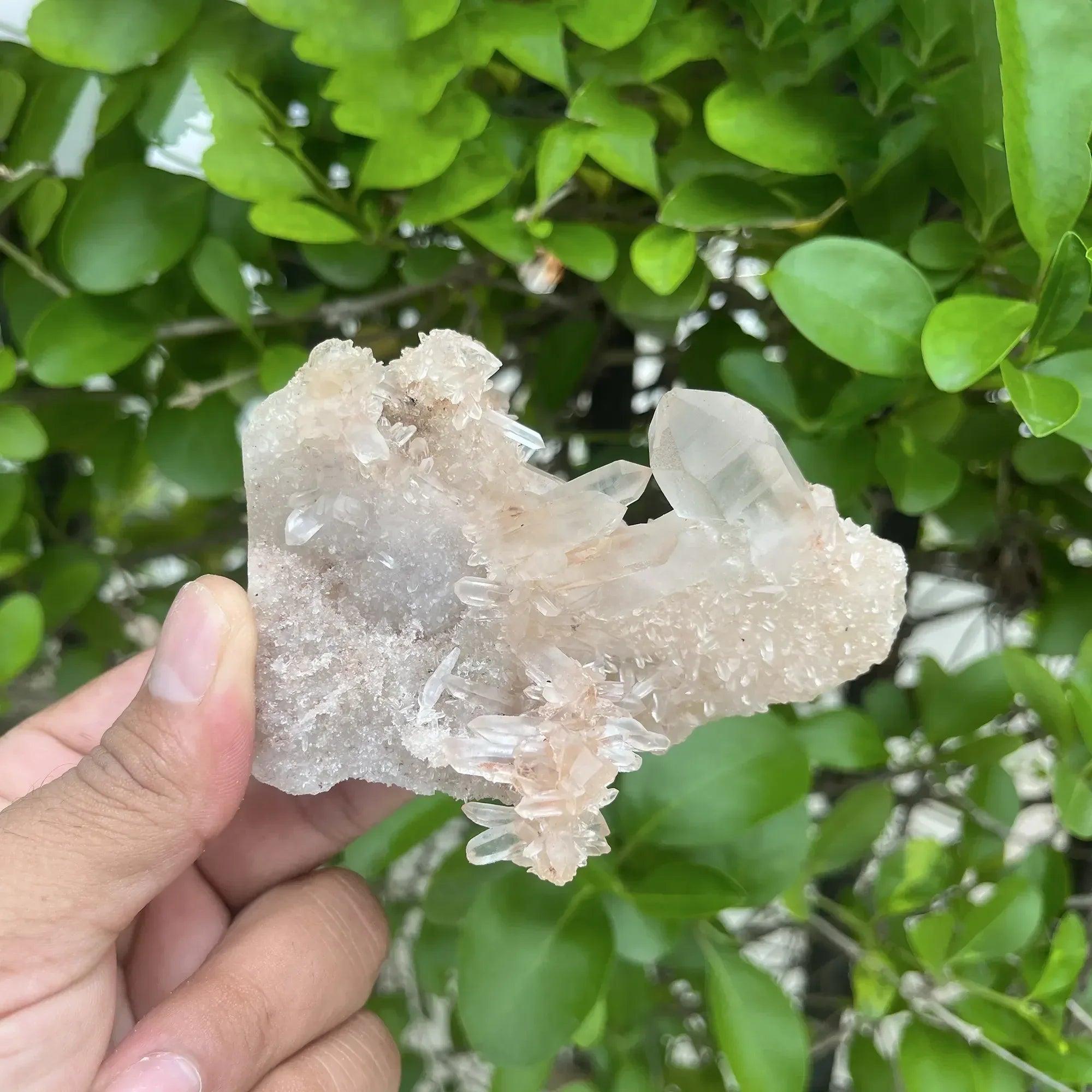 Natural Himalayan Pink Quartz Cluster 215g Himalayan Quartz