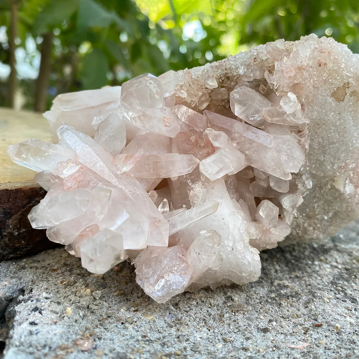Natural Himalayan Pink Quartz Cluster Himalayan Quartz