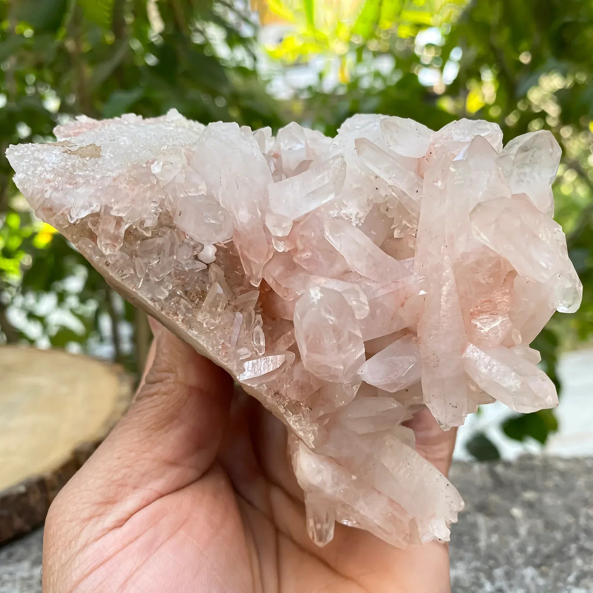Natural Himalayan Pink Quartz Cluster Himalayan Quartz