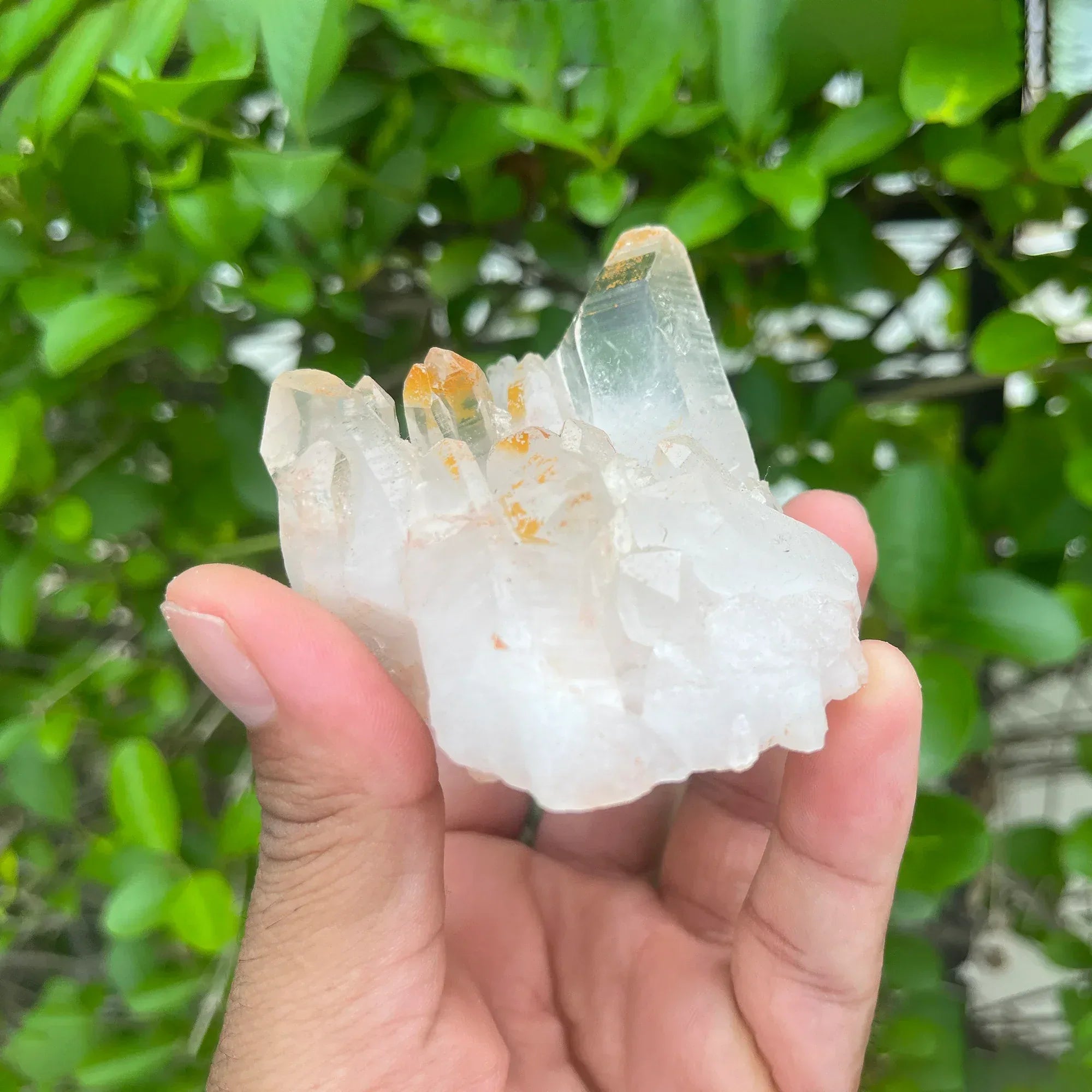 Natural Himalayan White Quartz Cluster 185g Himalayan Quartz