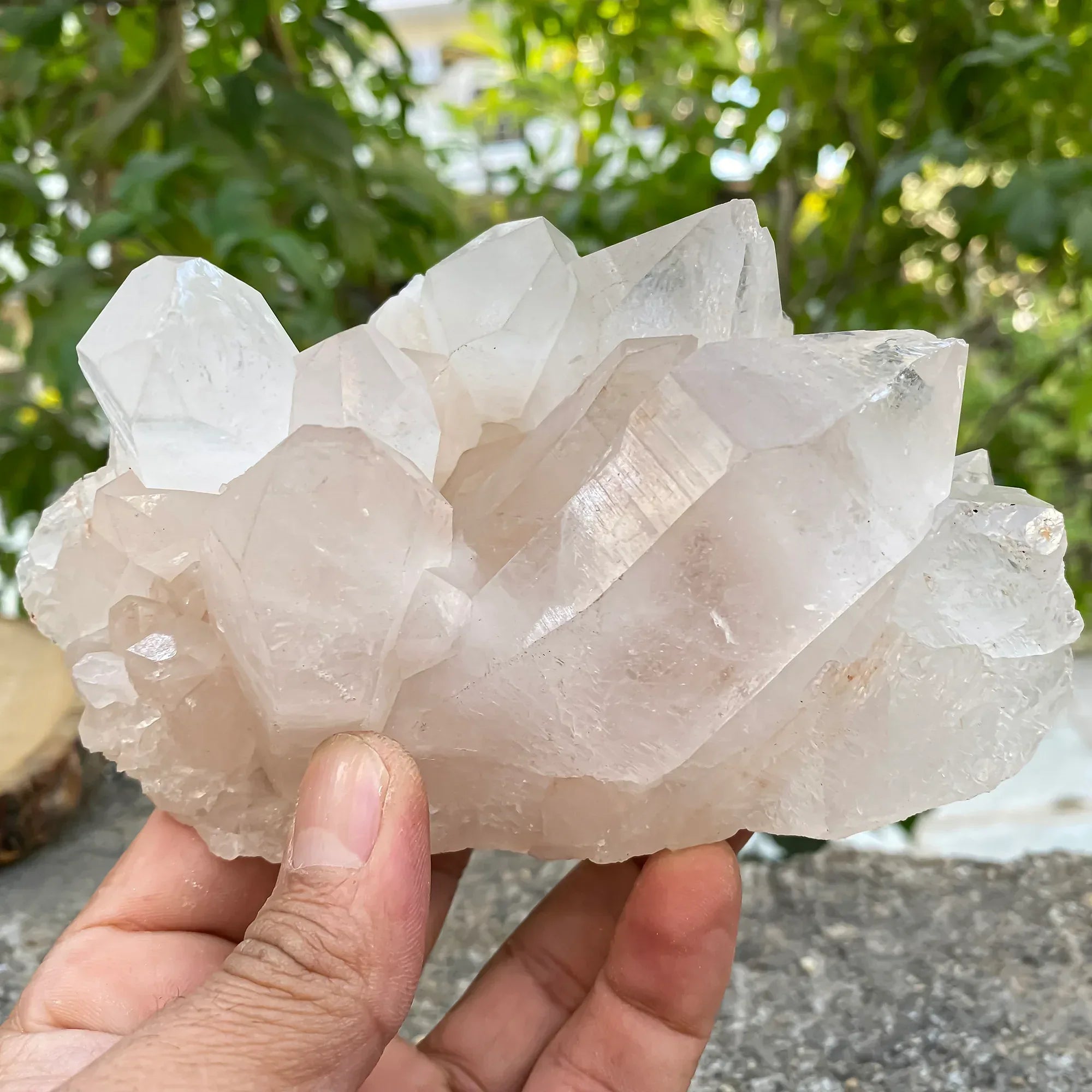 Natural Himalayan Pink Quartz Cluster 790g Himalayan Quartz