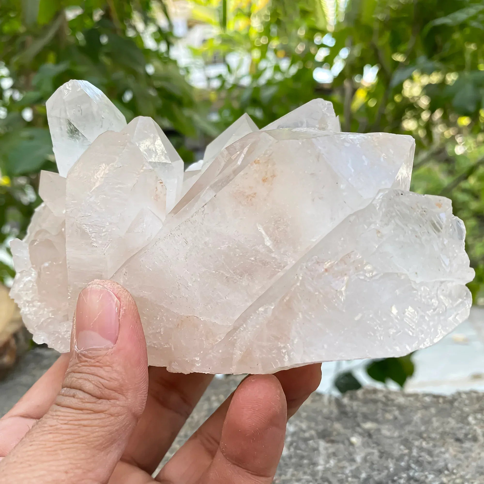 Natural Himalayan Pink Quartz Cluster 790g Himalayan Quartz