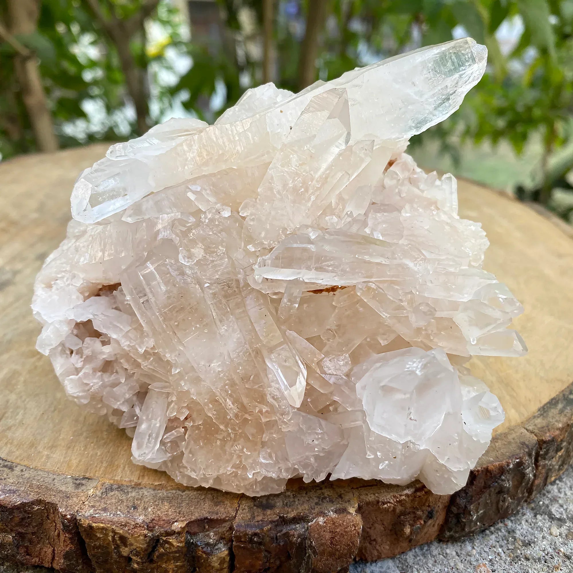 Natural Himalayan Pink Quartz Cluster 540g Himalayan Quartz