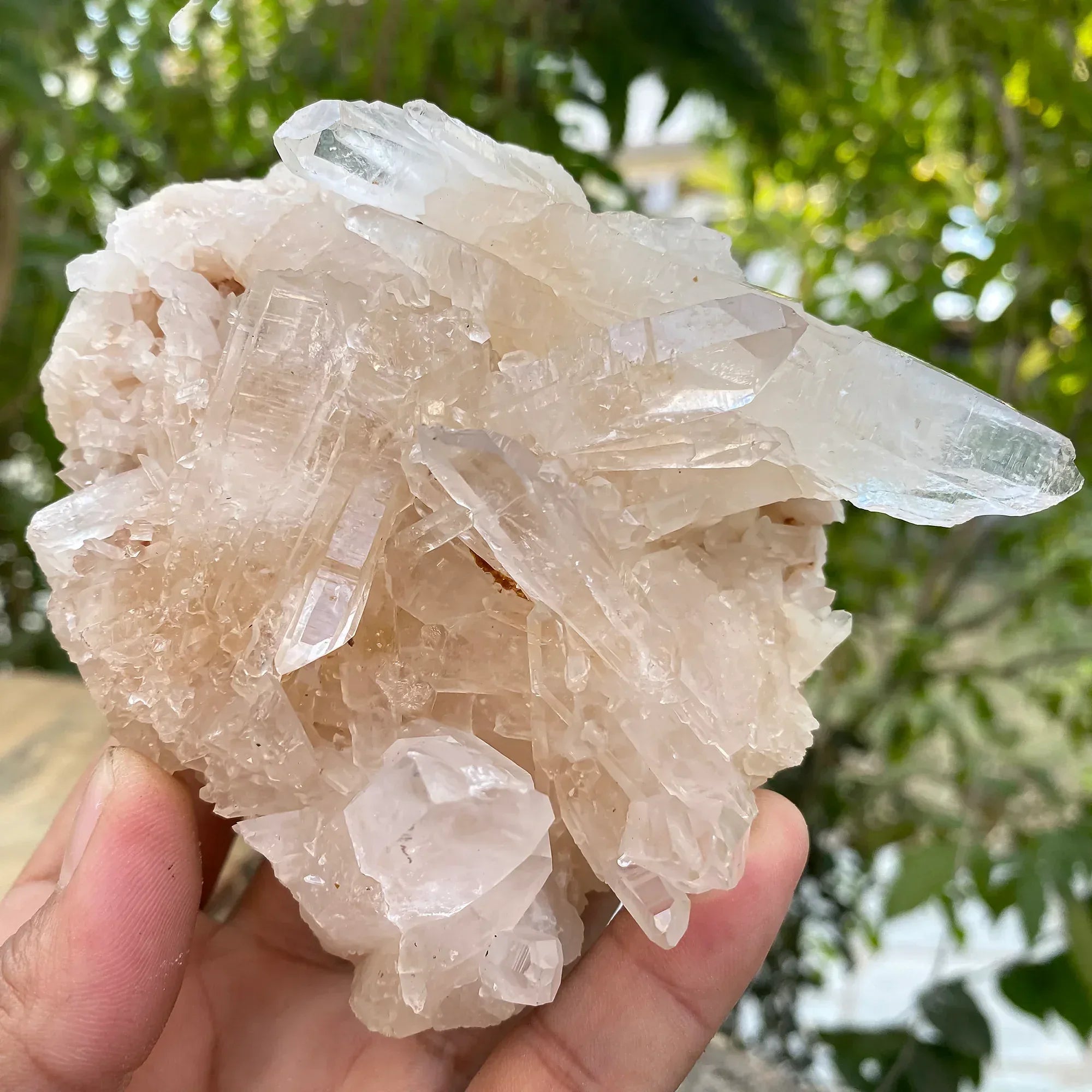 Natural Himalayan Pink Quartz Cluster 540g Himalayan Quartz