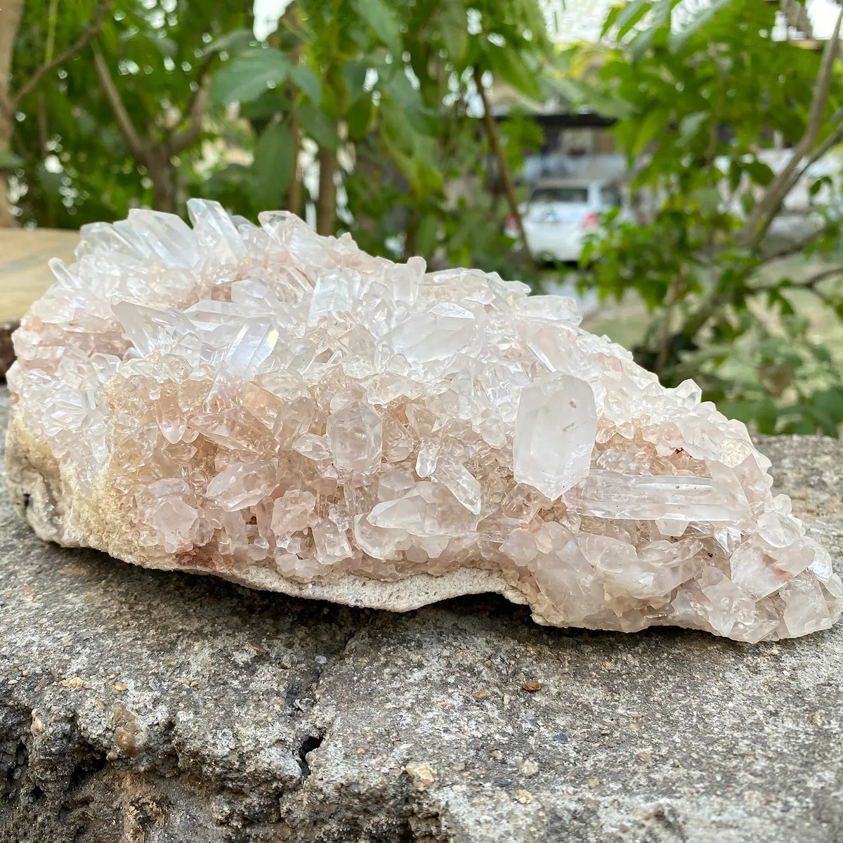 Natural Himalayan Pink Quartz Cluster 1710g Himalayan Quartz