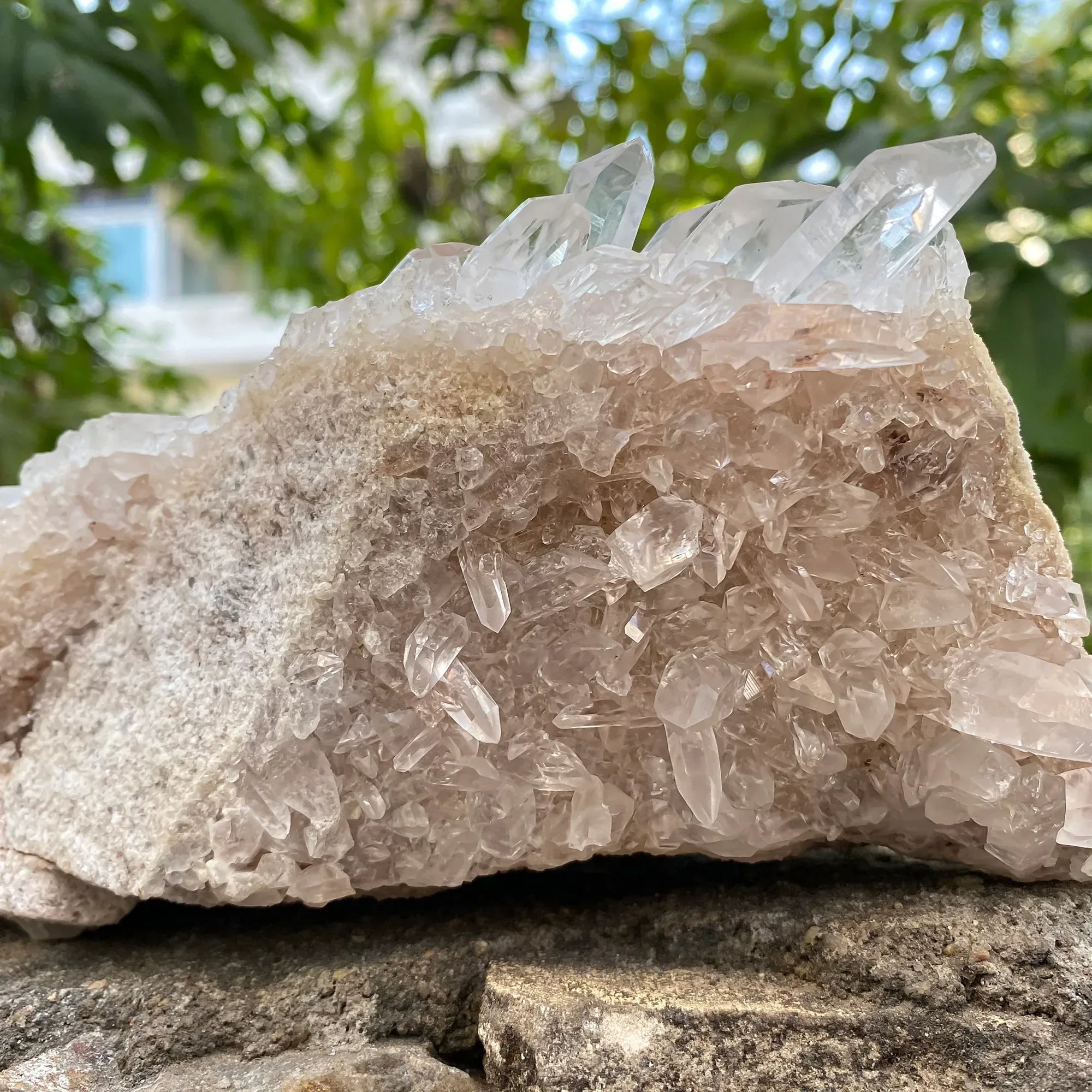 Natural Himalayan Pink Quartz Cluster 1710g Himalayan Quartz