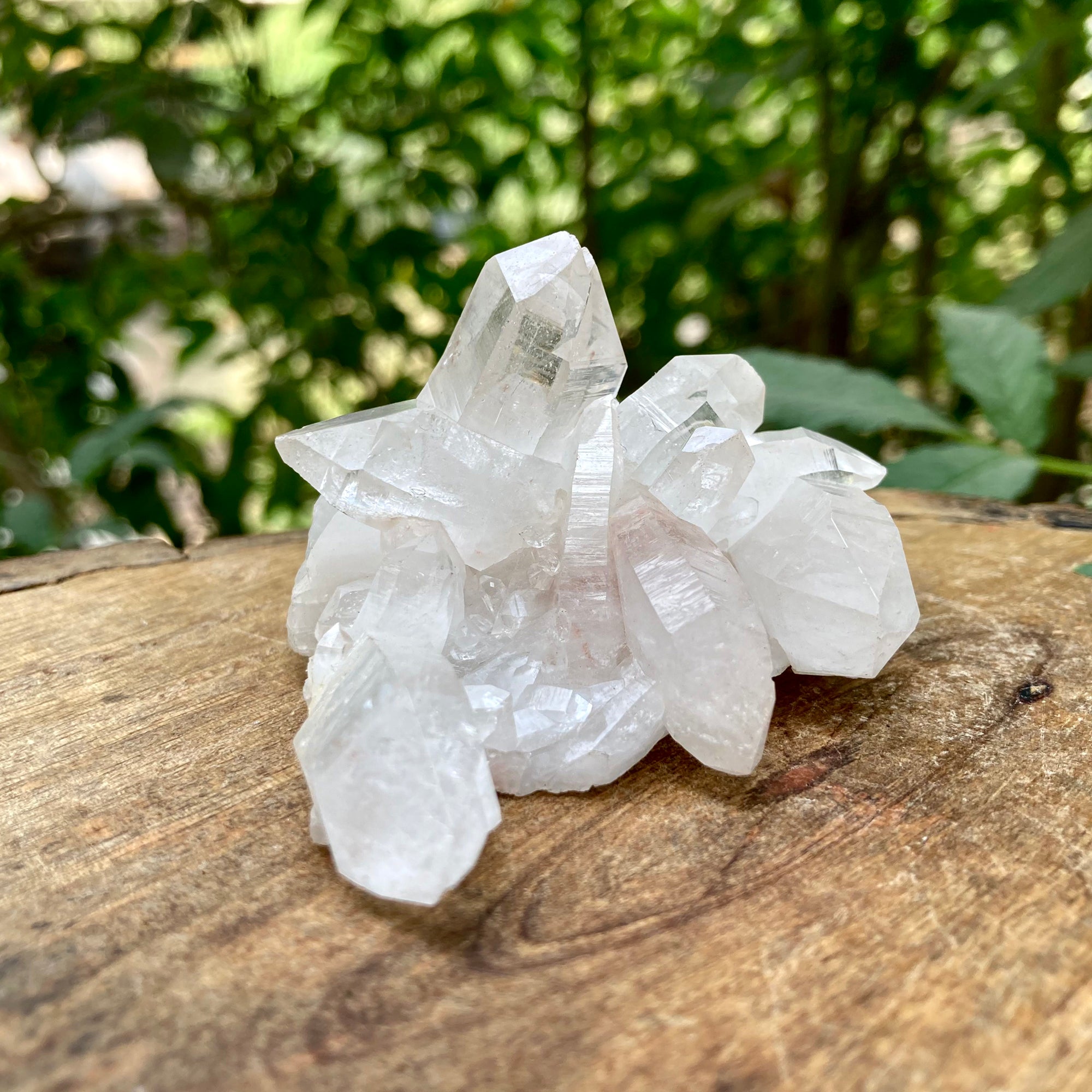 White and Pink Quartz Crystal Cluster 110g Natural Himalayan Raw Healing Stone Mineral Specimen Mini Décor