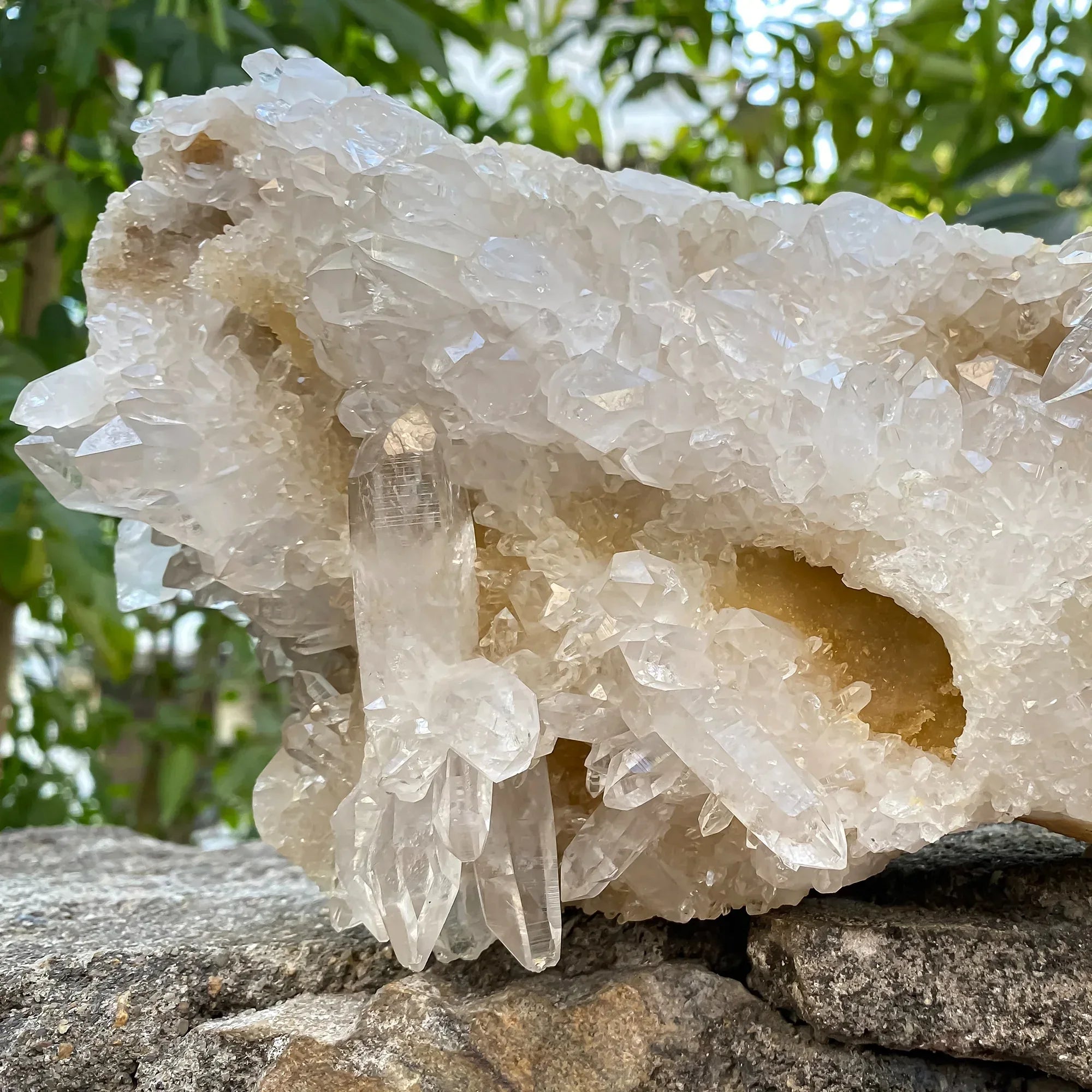 Natural Himalayan White–Yellow Quartz Cluster 2970g Himalayan Quartz