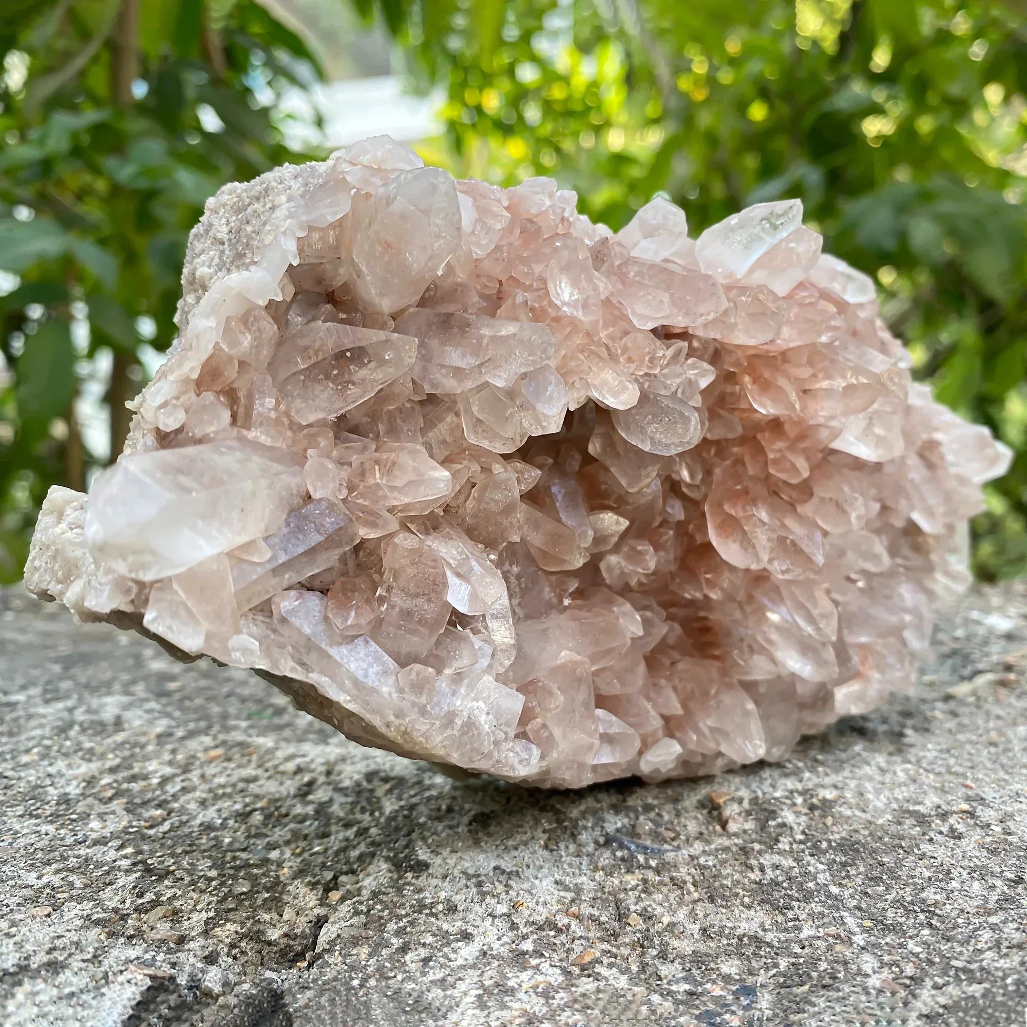 Natural Himalayan Pink Phantom Quartz Cluster 800g Himalayan Quartz