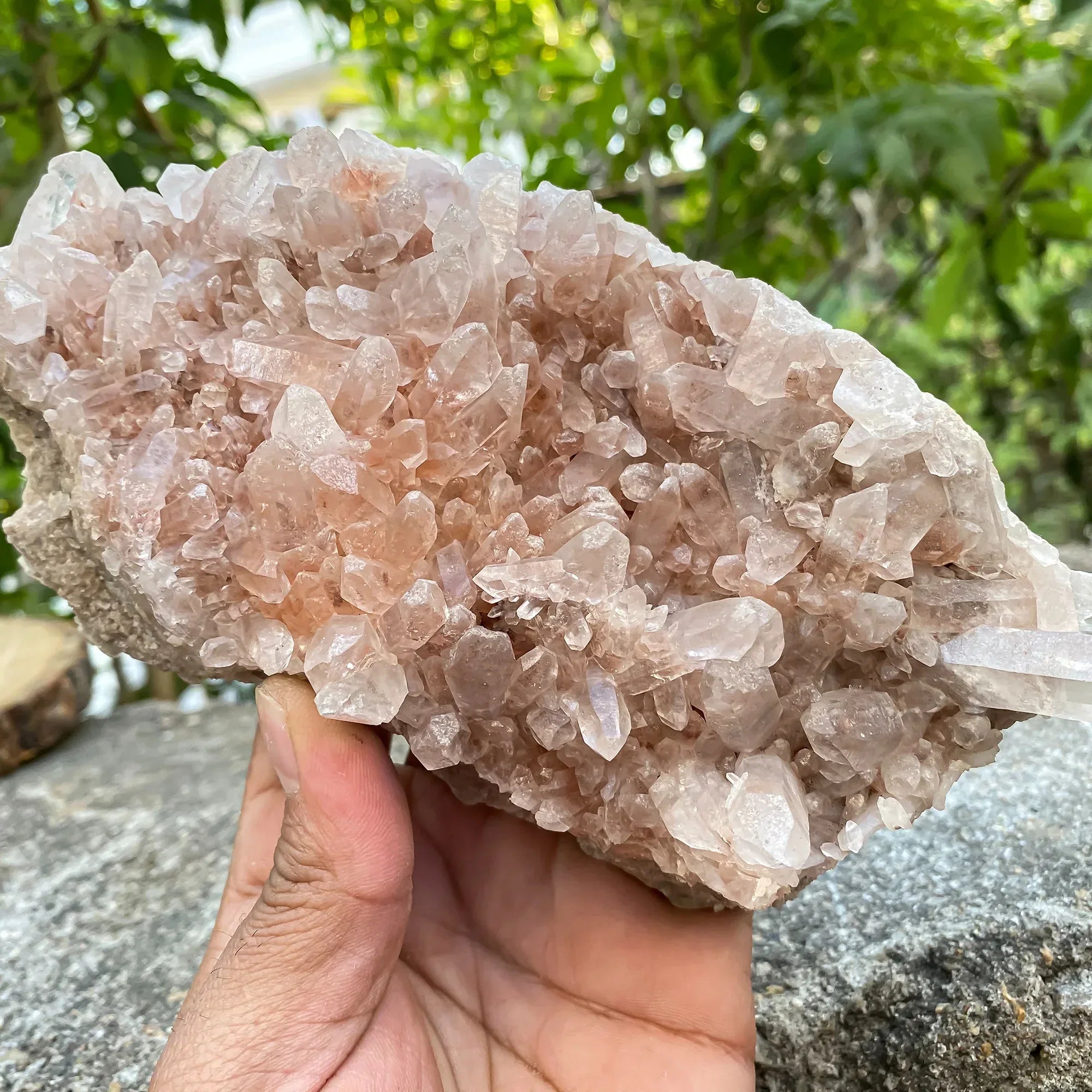 Natural Himalayan Pink Phantom Quartz Cluster 800g Himalayan Quartz