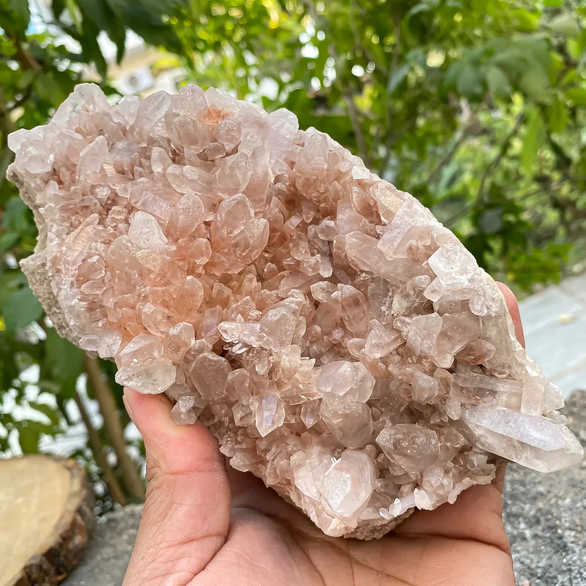 Natural Himalayan Pink Phantom Quartz Cluster 800g Himalayan Quartz