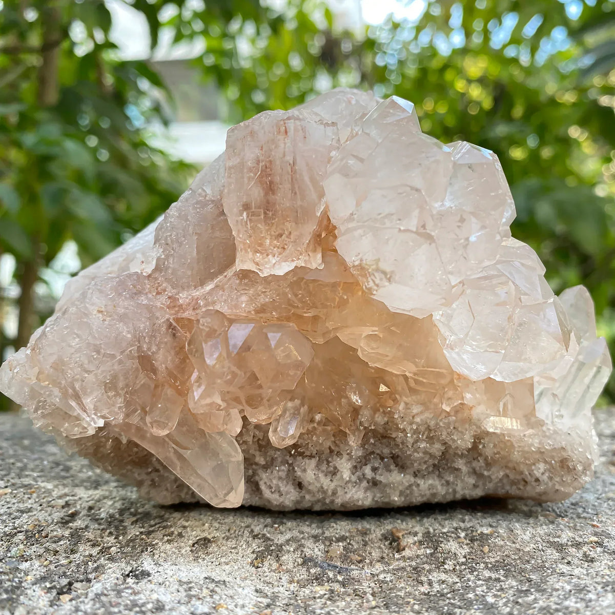 Natural Himalayan Pink Quartz Cluster 1400g Himalayan Quartz