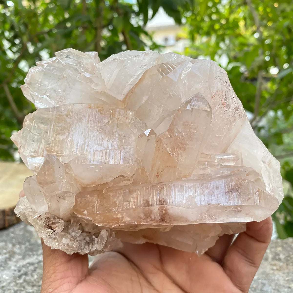 Natural Himalayan Pink Quartz Cluster 1400g Himalayan Quartz