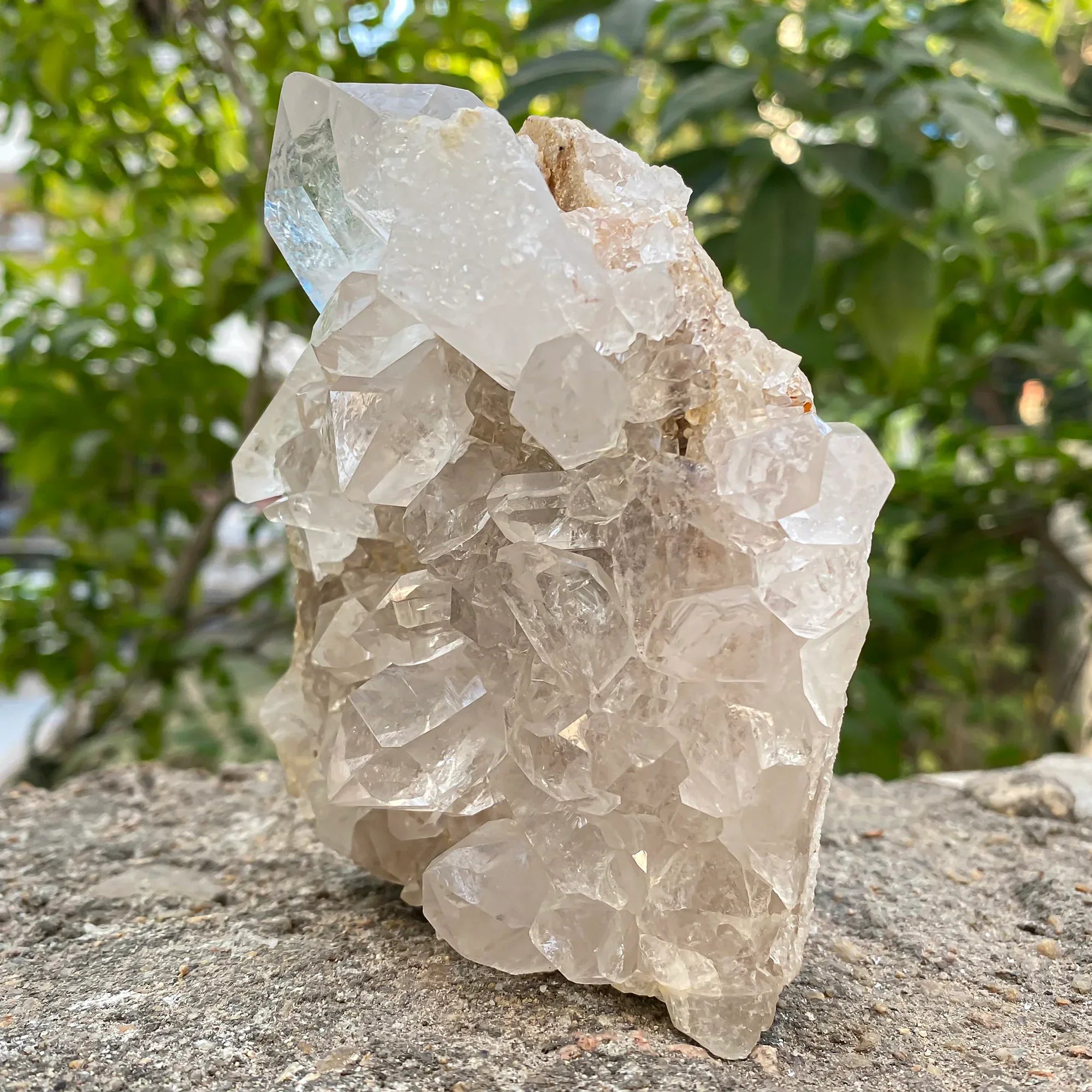 Natural Himalayan White Quartz Cluster 825g – WHQ-1077 - Himalya Quartz
