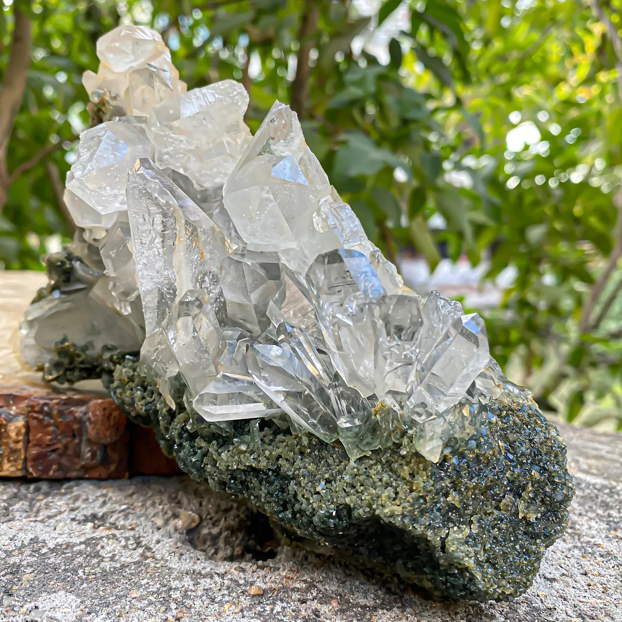 Natural Himalayan Green Chlorite Quartz Cluster 905g Himalayan Quartz