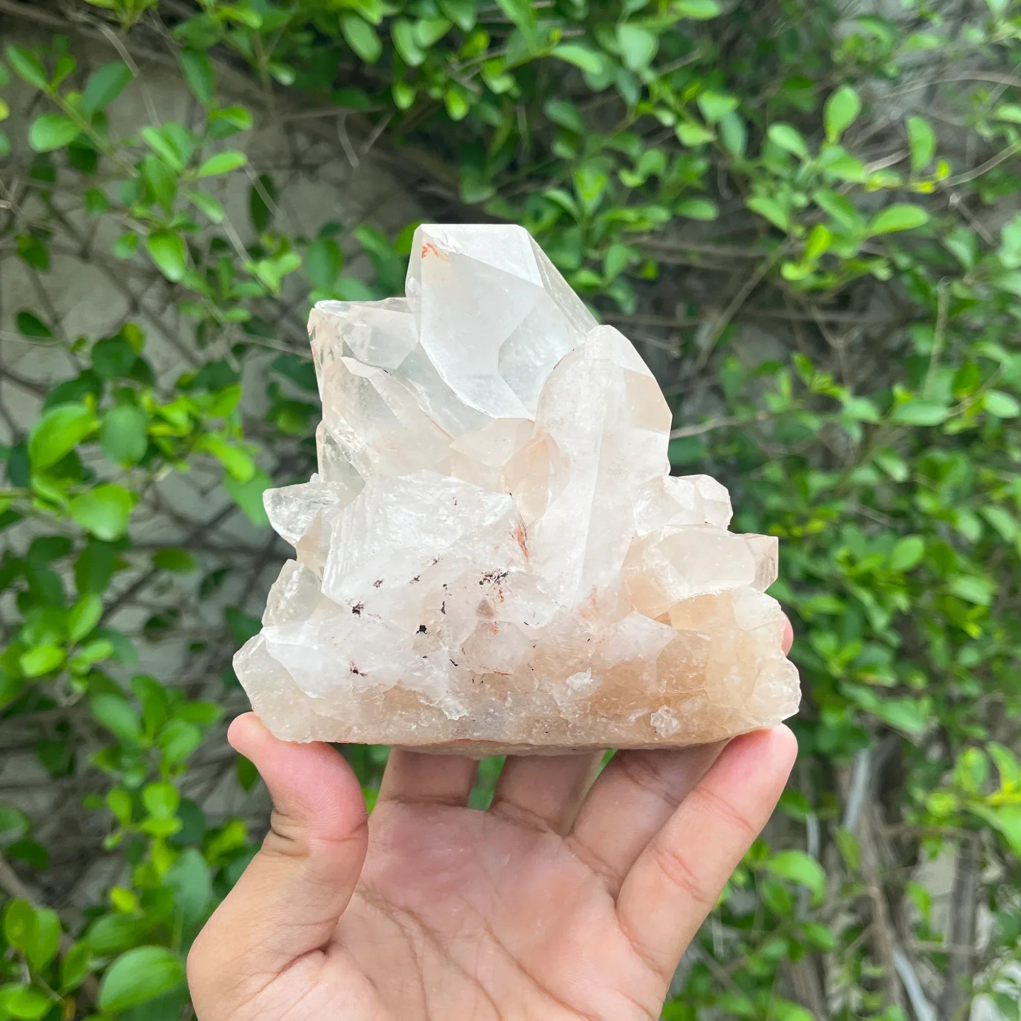 Natural Himalayan Pink Quartz Cluster 370g Himalayan Quartz