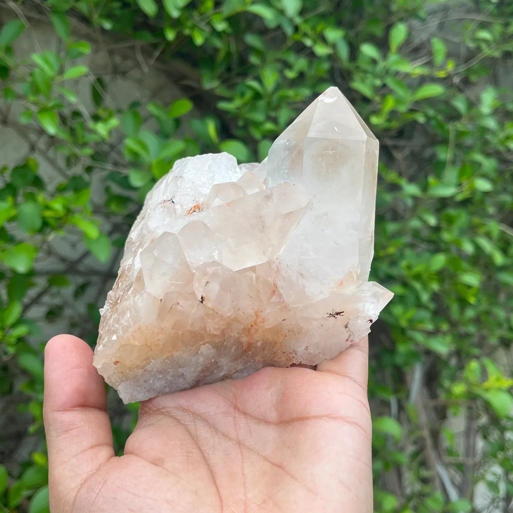 Natural Himalayan Pink Quartz Cluster 370g Himalayan Quartz