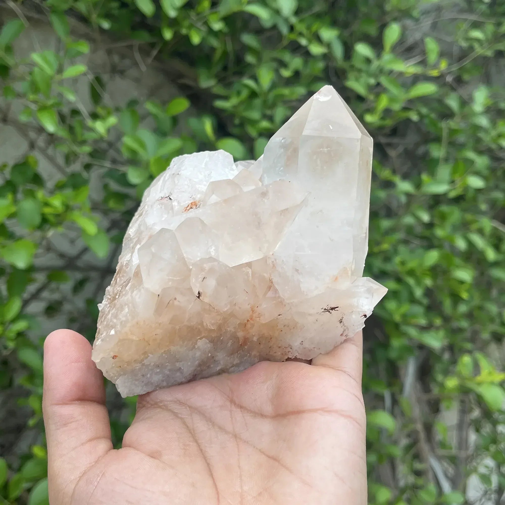 Natural Himalayan Pink Quartz Cluster 370g Himalayan Quartz