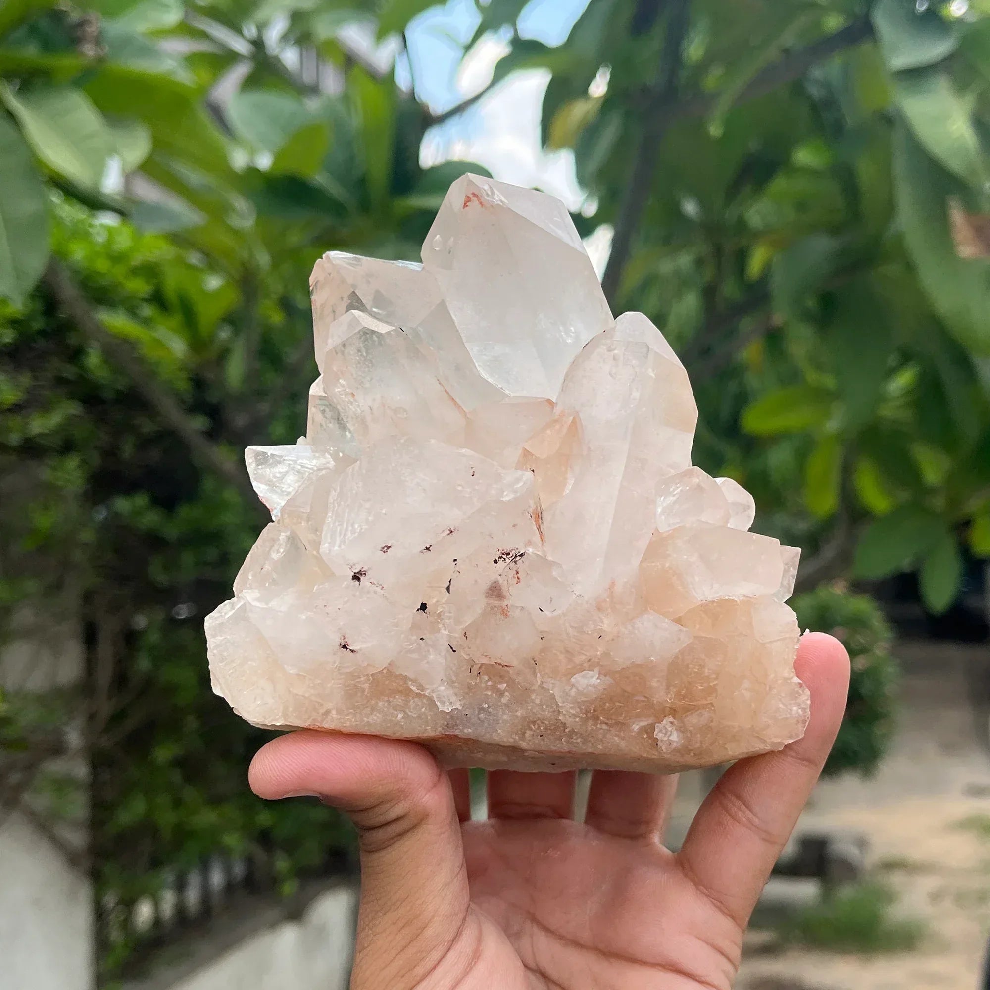 Natural Himalayan Pink Quartz Cluster 370g Himalayan Quartz